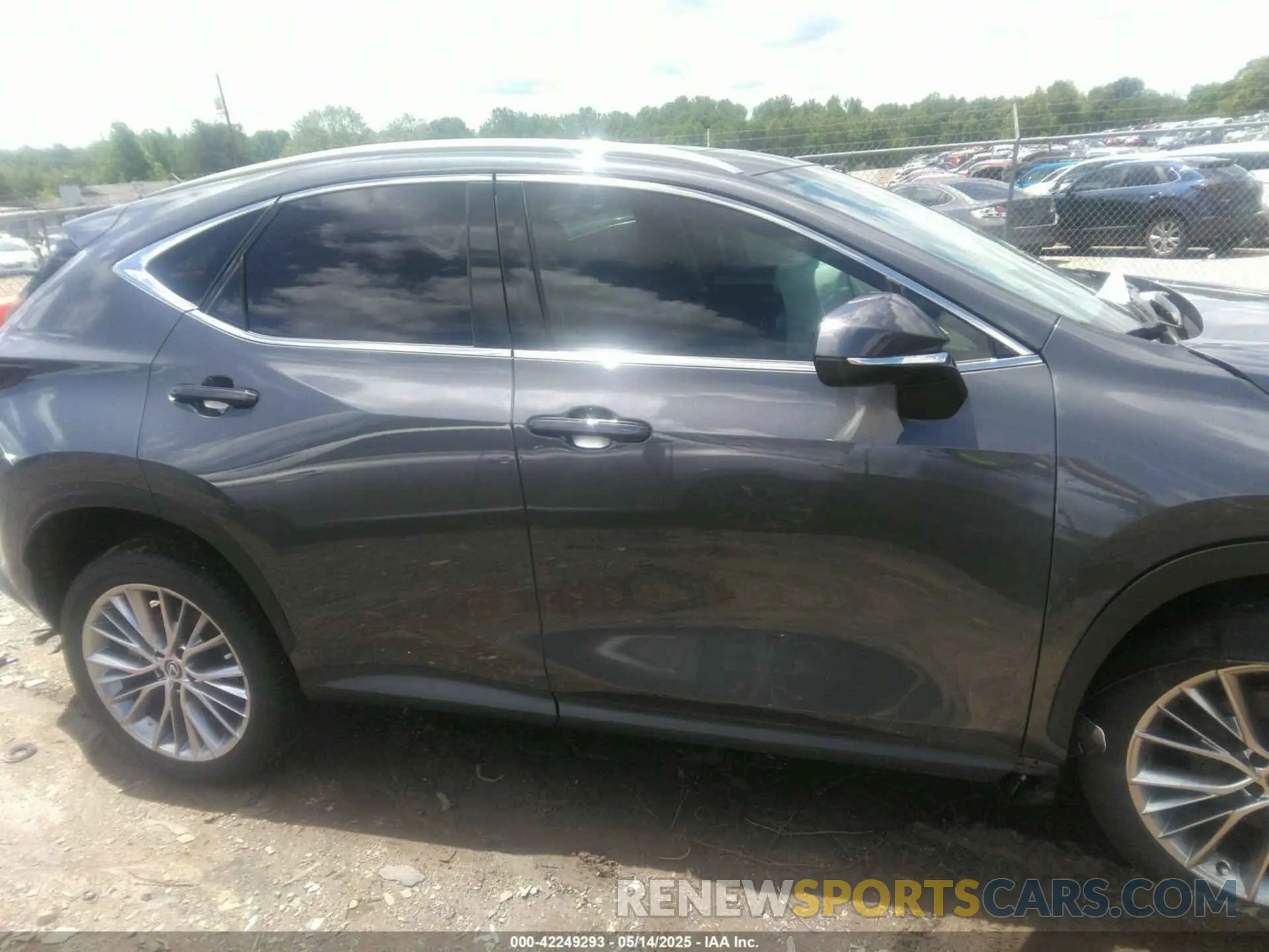 13 Фотография поврежденного автомобиля 2T2GKCEZ2SC032602 LEXUS NX 350H 2025