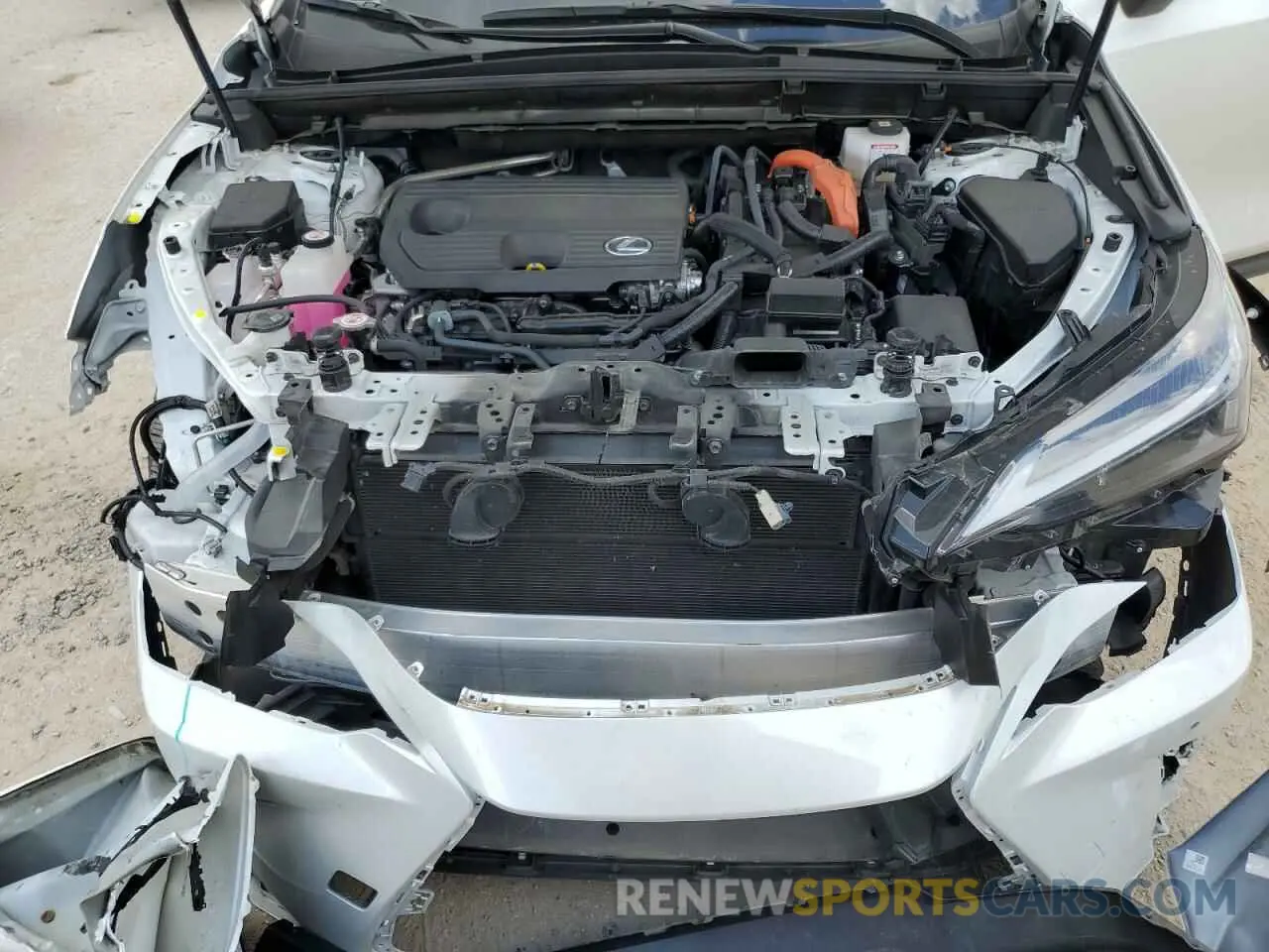12 Photograph of a damaged car JTJGKCEZXR5016415 LEXUS NX 350H BA 2024