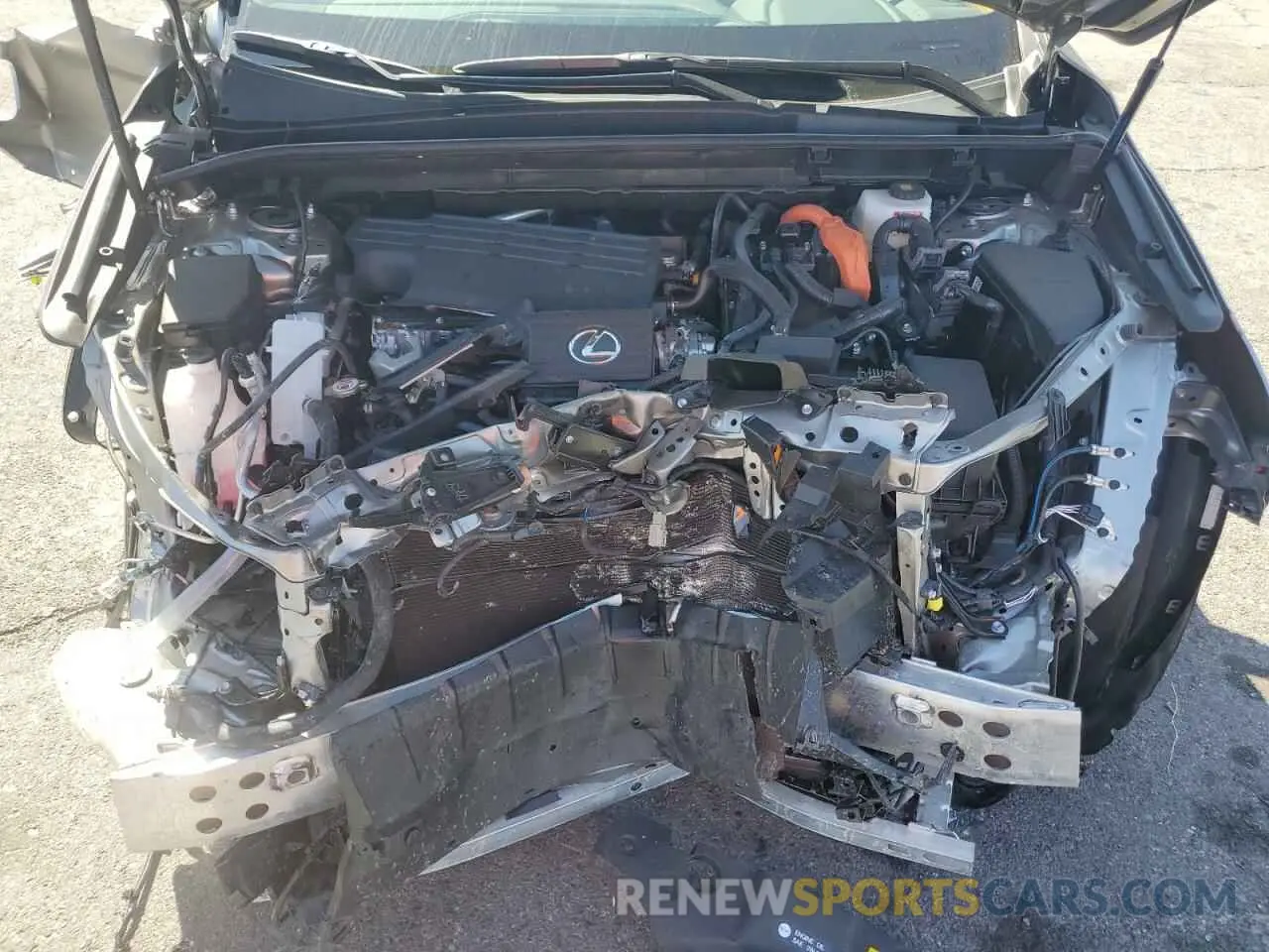 13 Photograph of a damaged car 2T2GKCEZ3SC040255 LEXUS NX 350H BA 2025