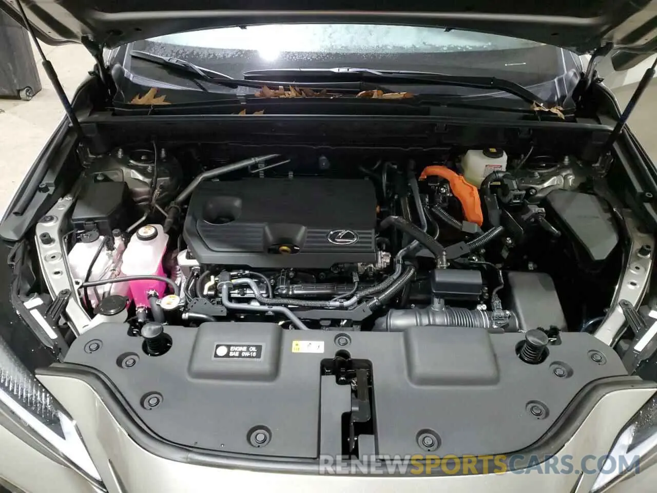 12 Photograph of a damaged car 2T2GKCEZ4SC040118 LEXUS NX 350H BA 2025