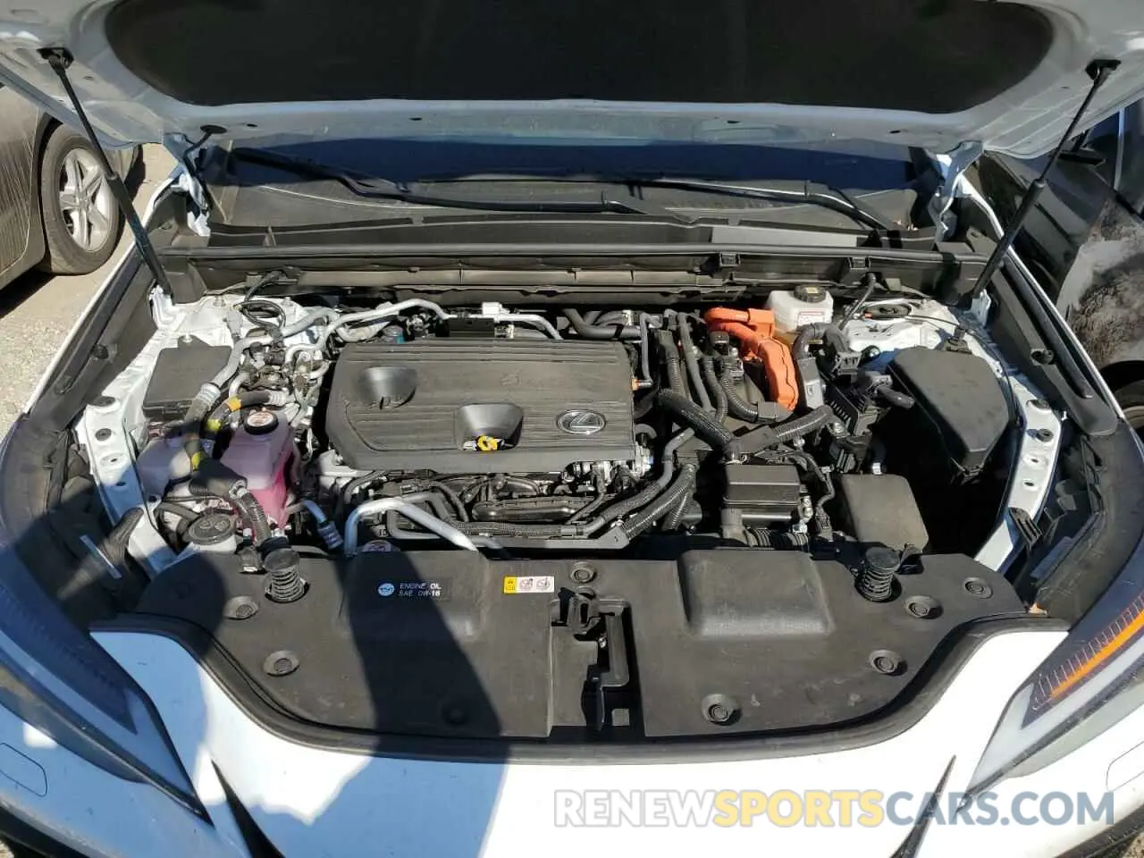 12 Photograph of a damaged car JTJKKCFZ4N2006869 LEXUS NX 450H 2022