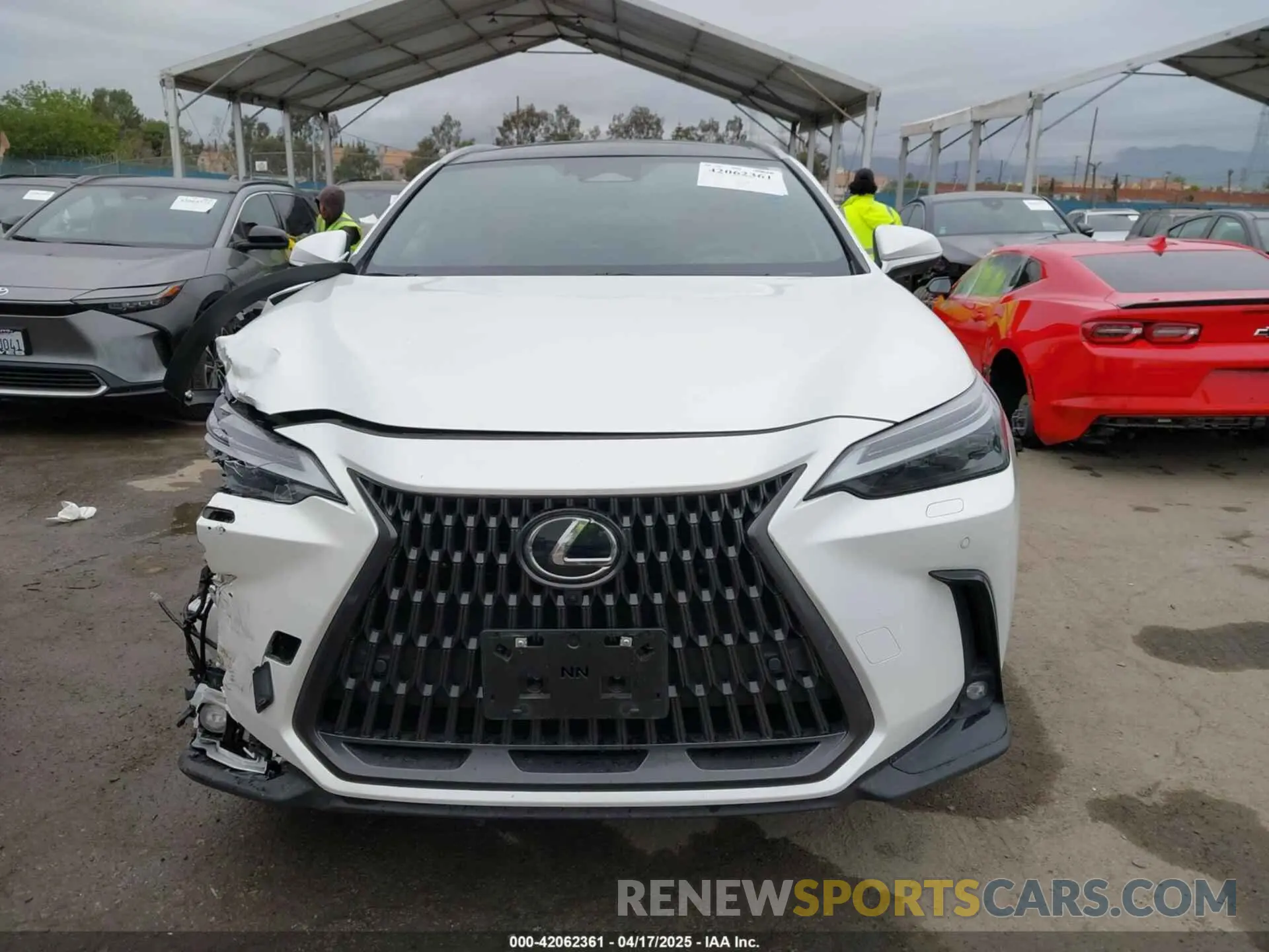 12 Photograph of a damaged car JTJHKCFZ1S2043125 LEXUS NX 450H+ 2025