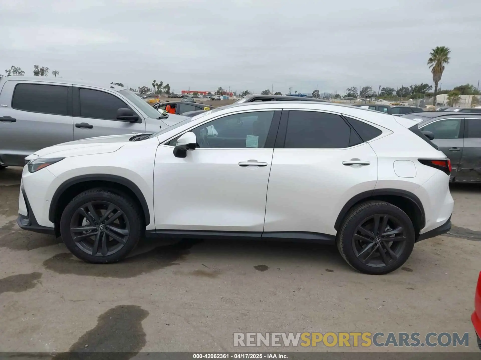 14 Photograph of a damaged car JTJHKCFZ1S2043125 LEXUS NX 450H+ 2025