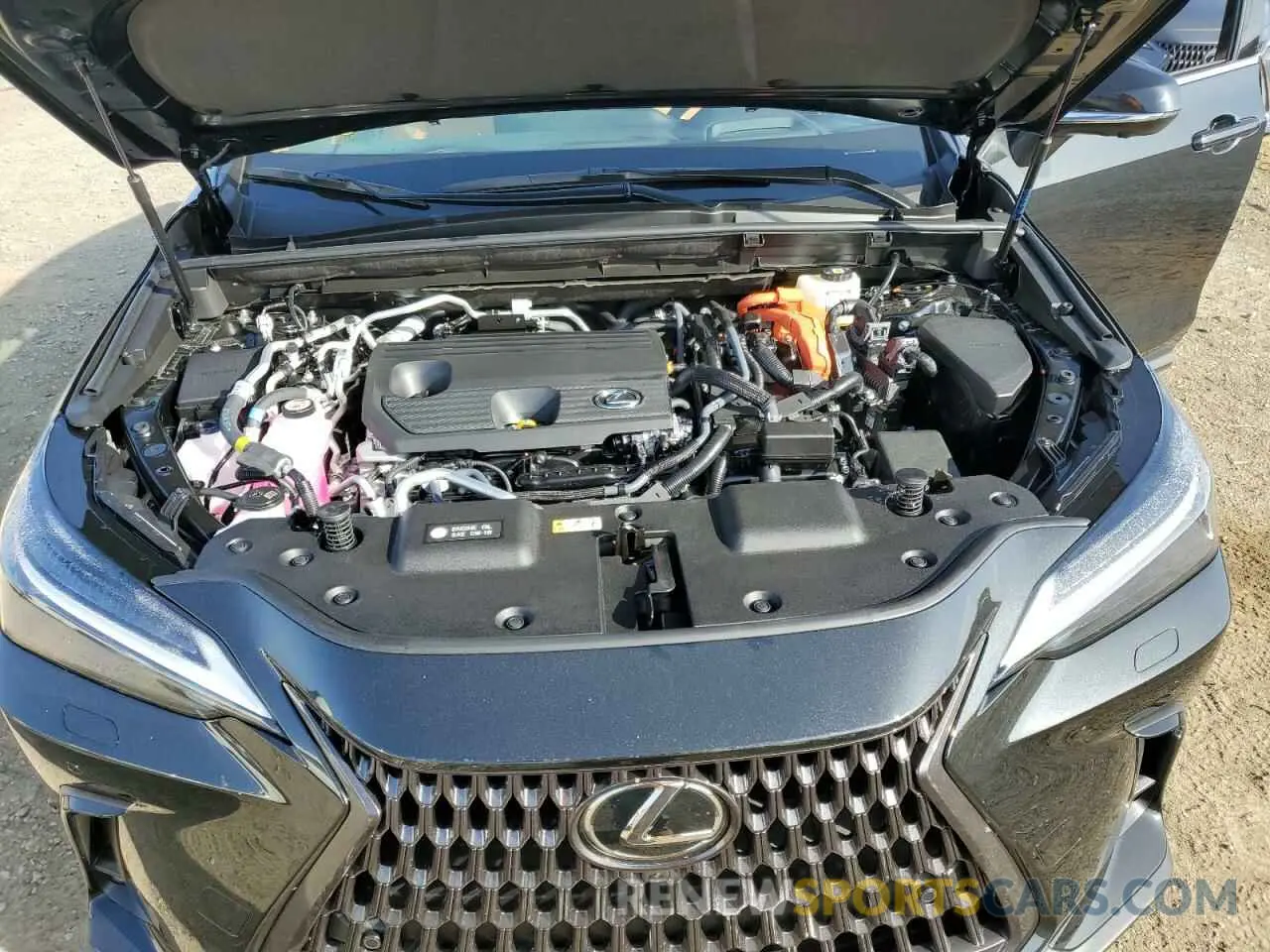 12 Photograph of a damaged car JTJHKCFZ4S2044219 LEXUS NX 450H LU 2025