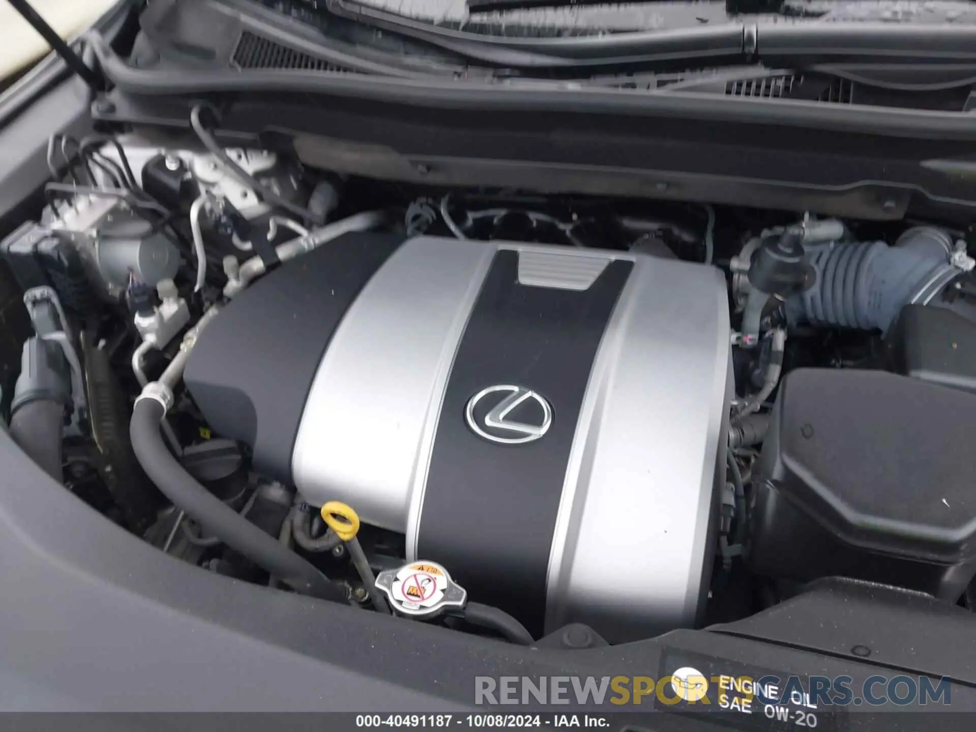 10 Photograph of a damaged car JTJGZKCA6K2013442 LEXUS RX 2019