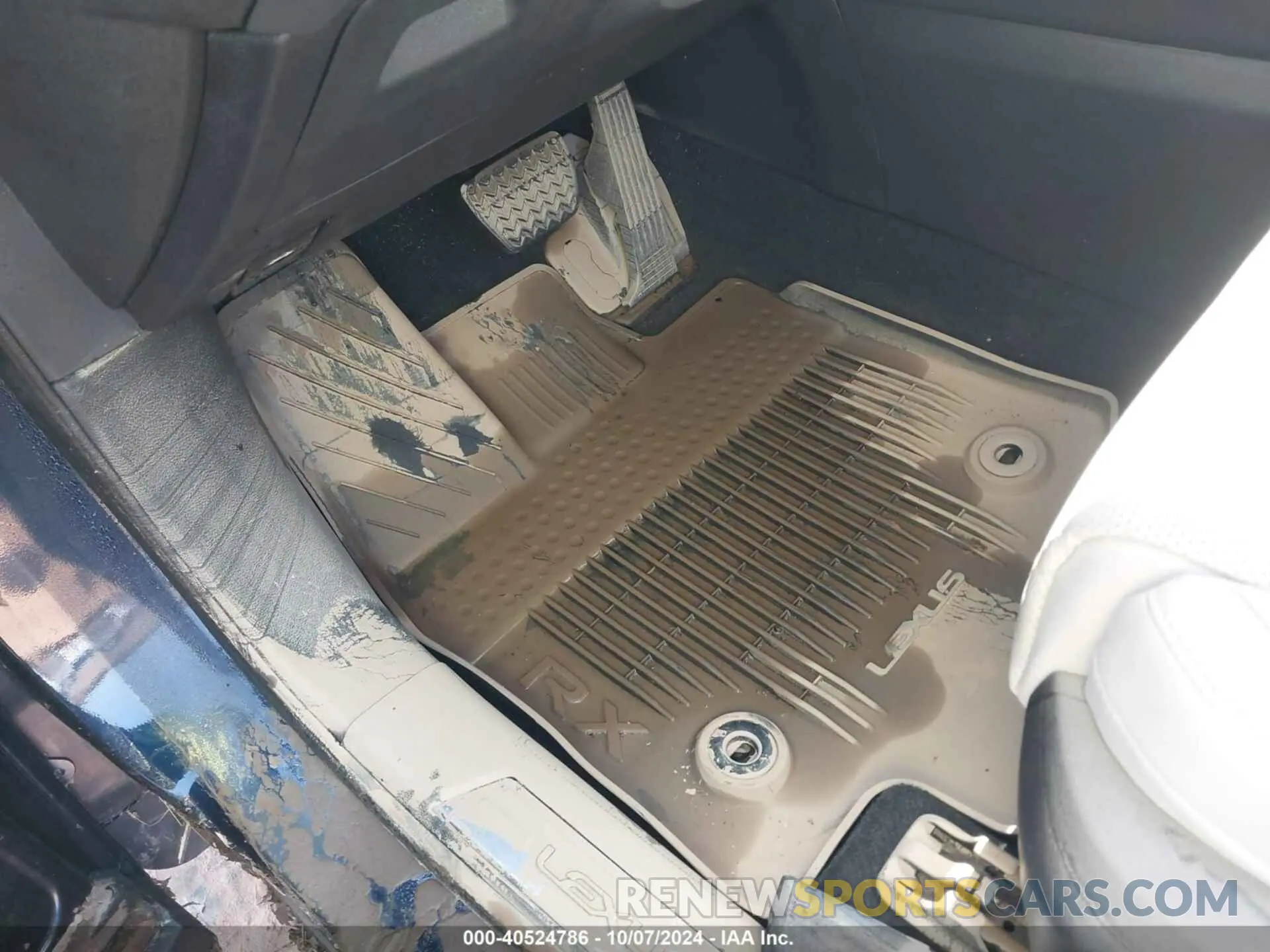 6 Photograph of a damaged car 2T2BAMBAXPC21C553 LEXUS RX 2023
