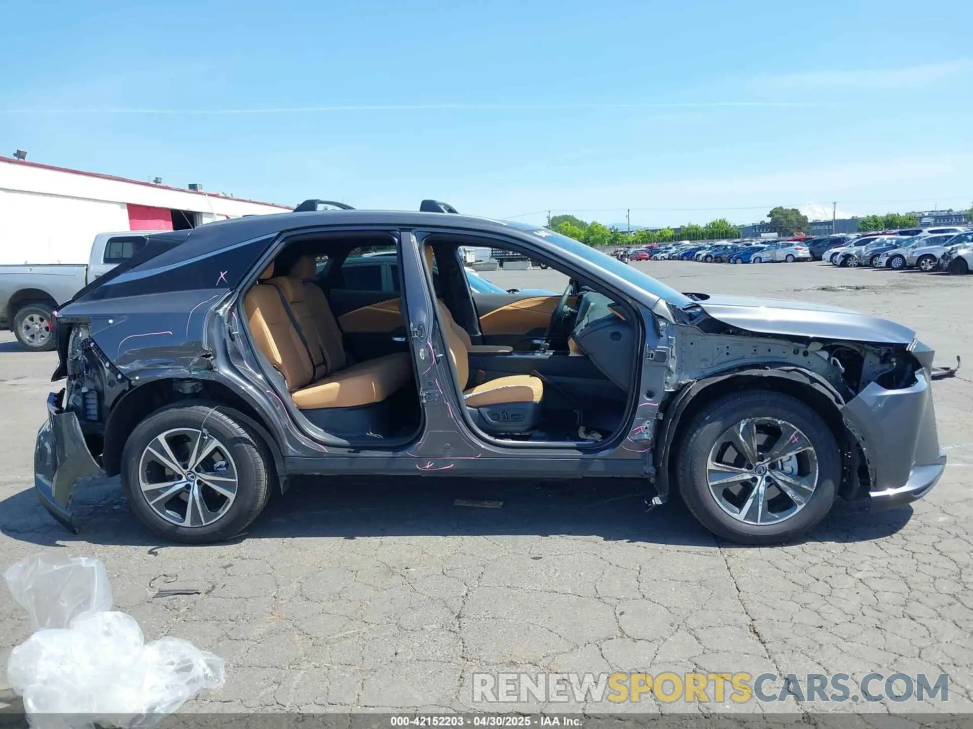 14 Photograph of a damaged car 2T2BAMCA9RC075313 LEXUS RX 350 2024