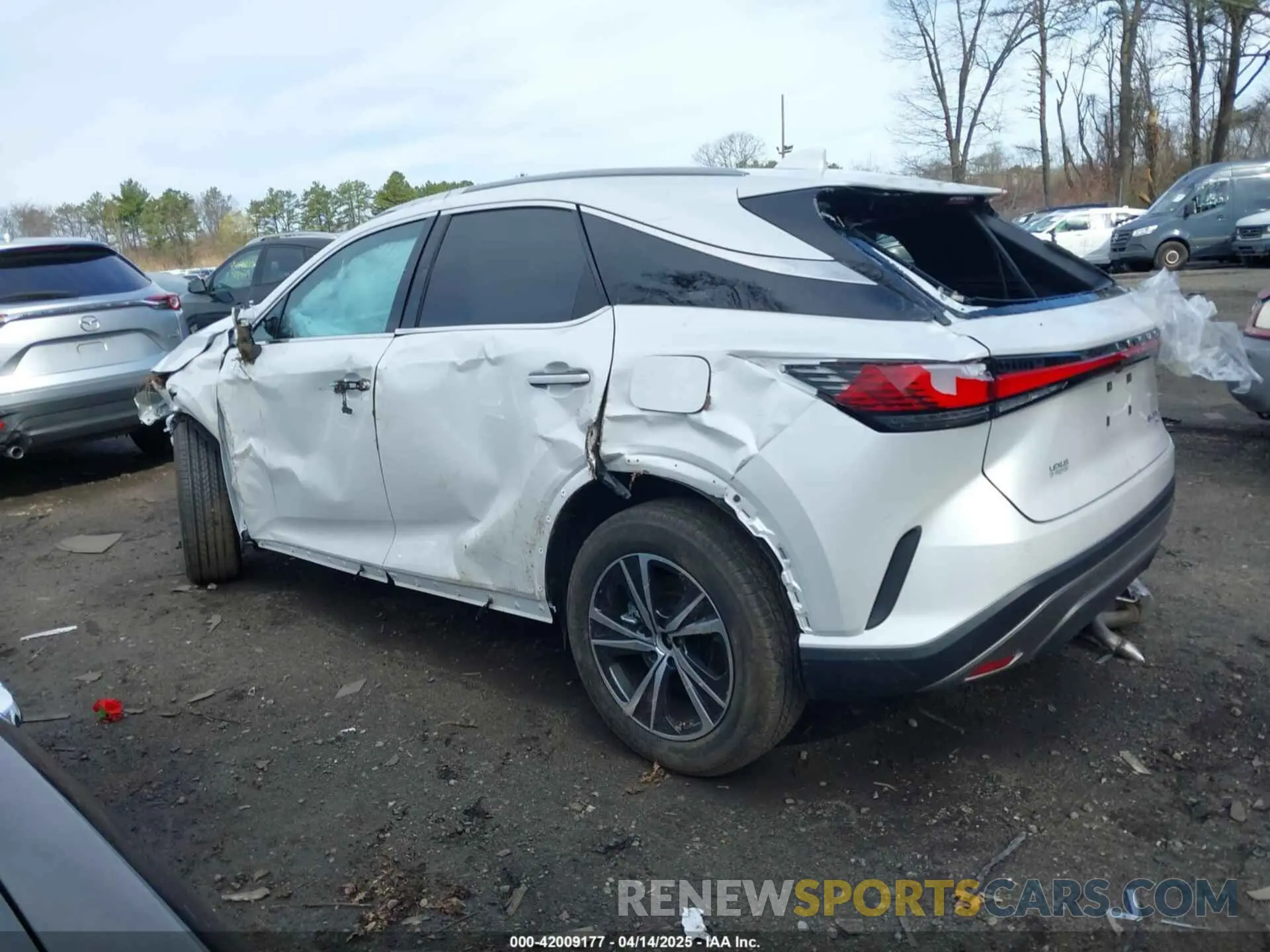 14 Фотография поврежденного автомобиля 2T2BAMCA7SC095145 LEXUS RX 350 2025