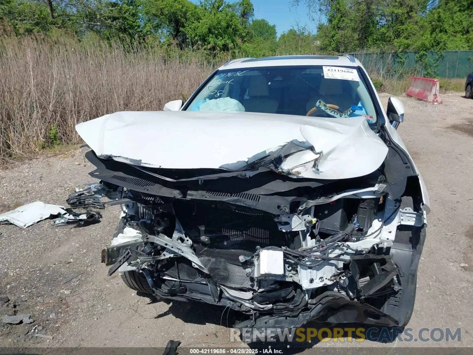 13 Photograph of a damaged car JTJGZKCA1K2012487 LEXUS RX 350L 2019