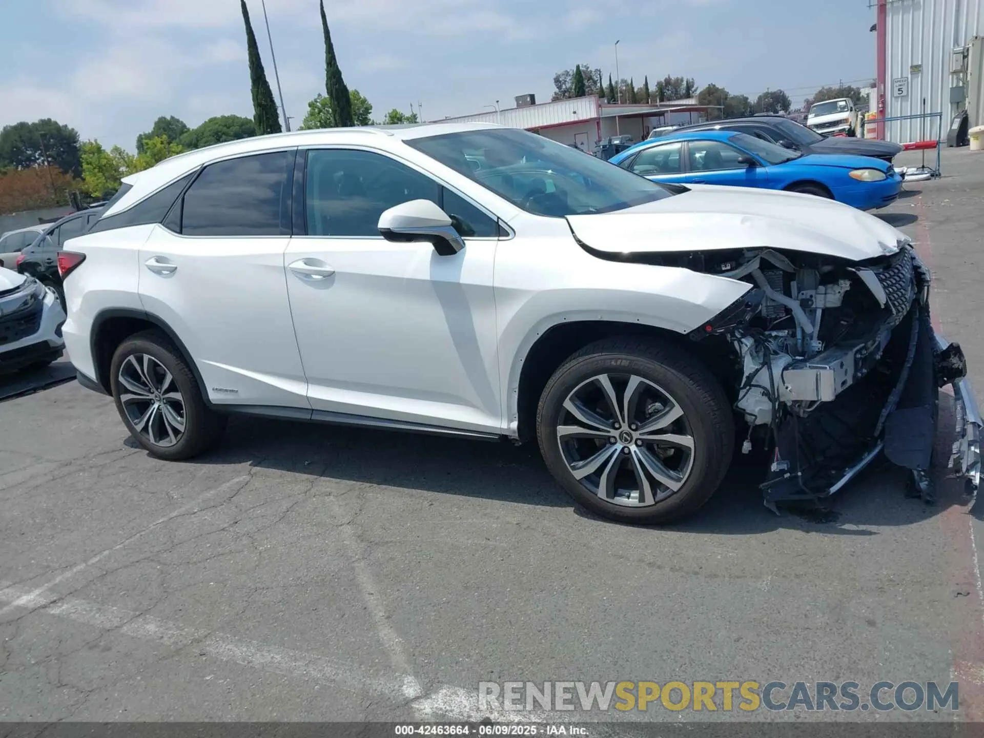 13 Photograph of a damaged car 2T2HGMDA7NC074100 LEXUS RX 450H 2022