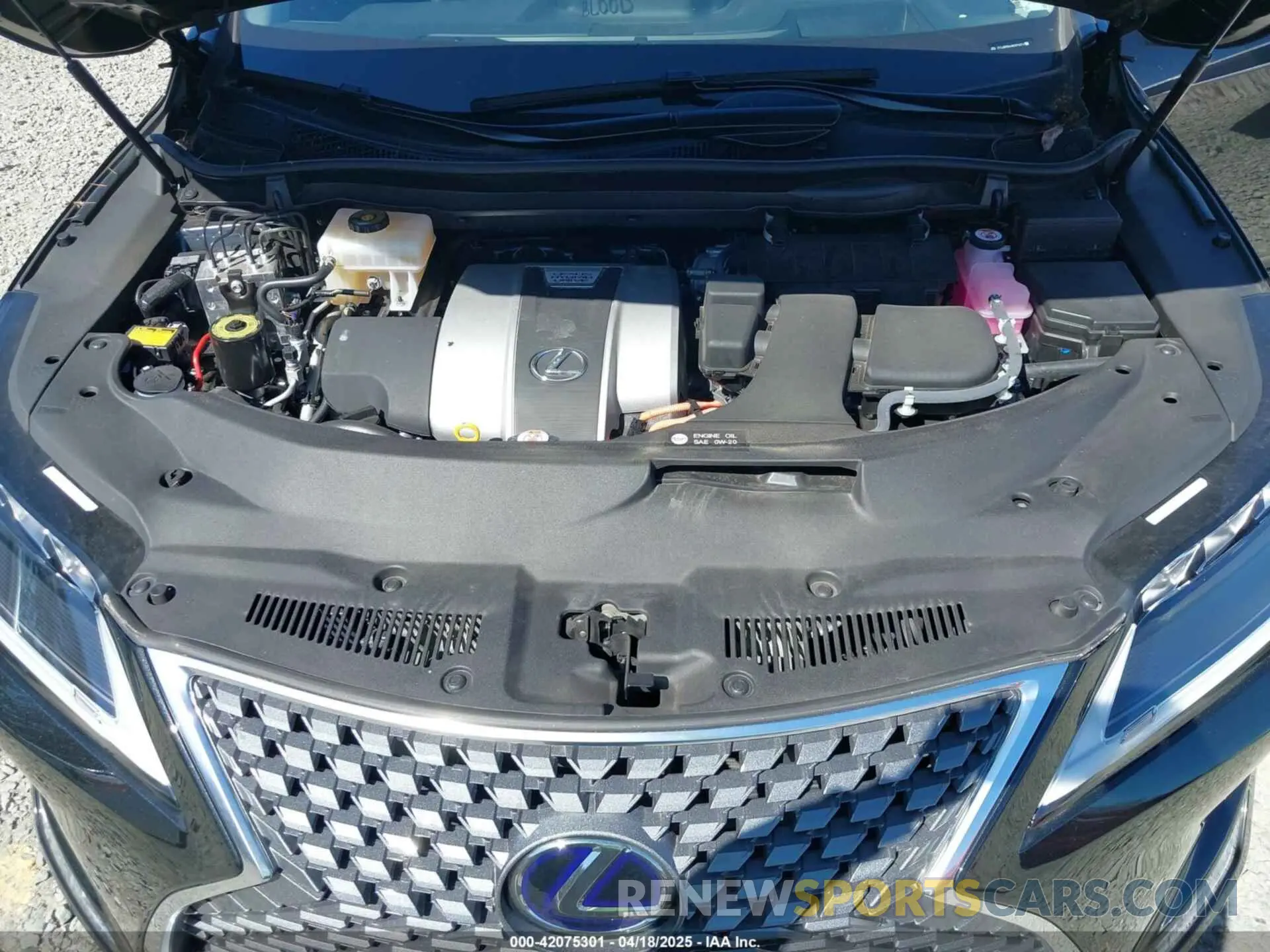 10 Фотография поврежденного автомобиля 2T2JGMDA4NC076274 LEXUS RX 450H 2022
