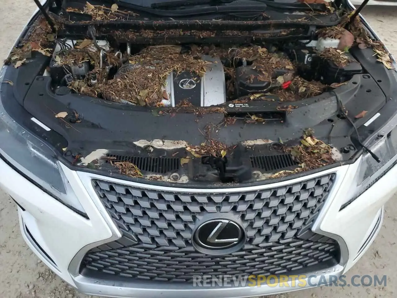 7 Фотография поврежденного автомобиля 2T2HZMAA4LC162971 LEXUS RX350 2020