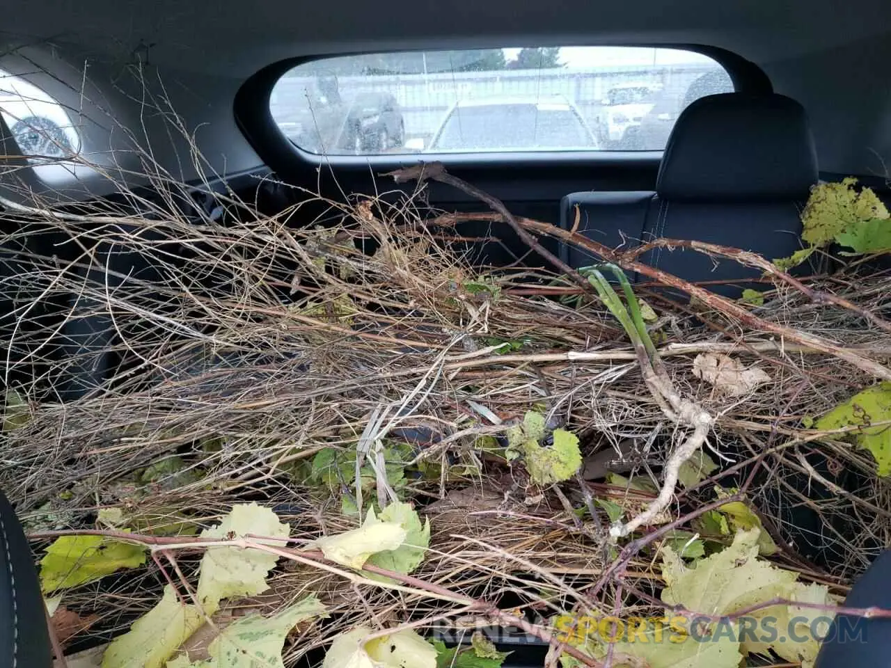 10 Фотография поврежденного автомобиля 2T2HZMDA9NC358001 LEXUS RX350 2022