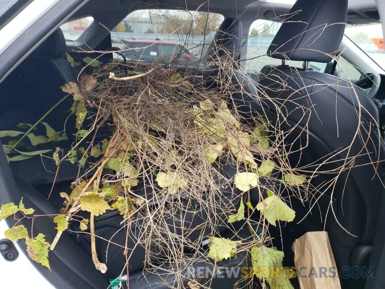 11 Фотография поврежденного автомобиля 2T2HZMDA9NC358001 LEXUS RX350 2022