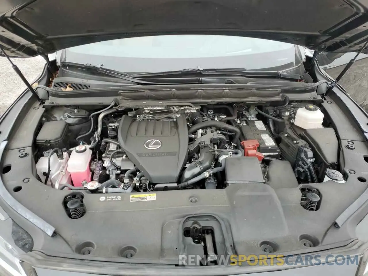 13 Фотография поврежденного автомобиля 2T2BAMCA7PC025247 LEXUS RX350 2023