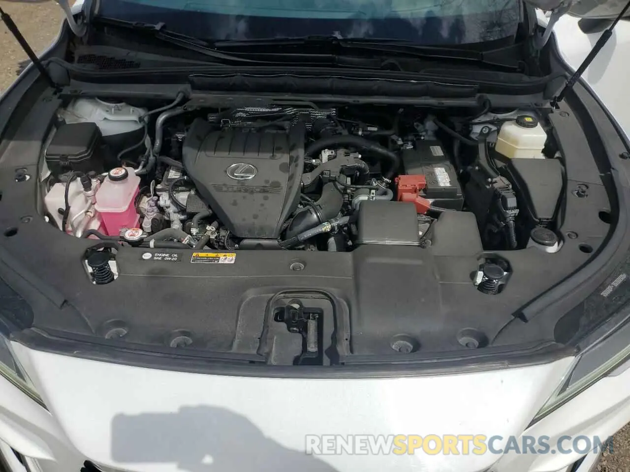 12 Photograph of a damaged car 2T2BAMCA9PC036850 LEXUS RX350 2023