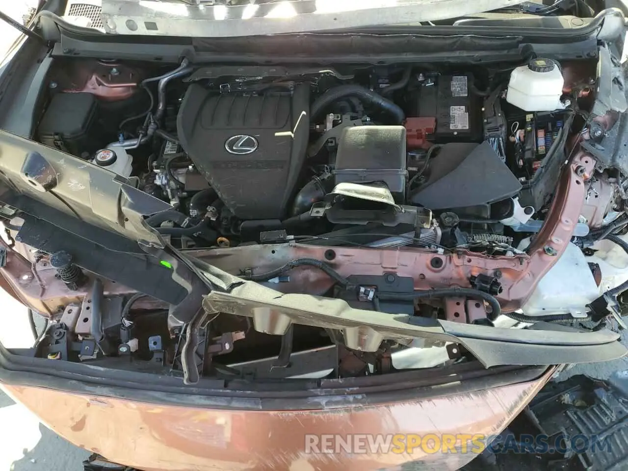 13 Photograph of a damaged car 2T2BAMCAXPC038185 LEXUS RX350 2023