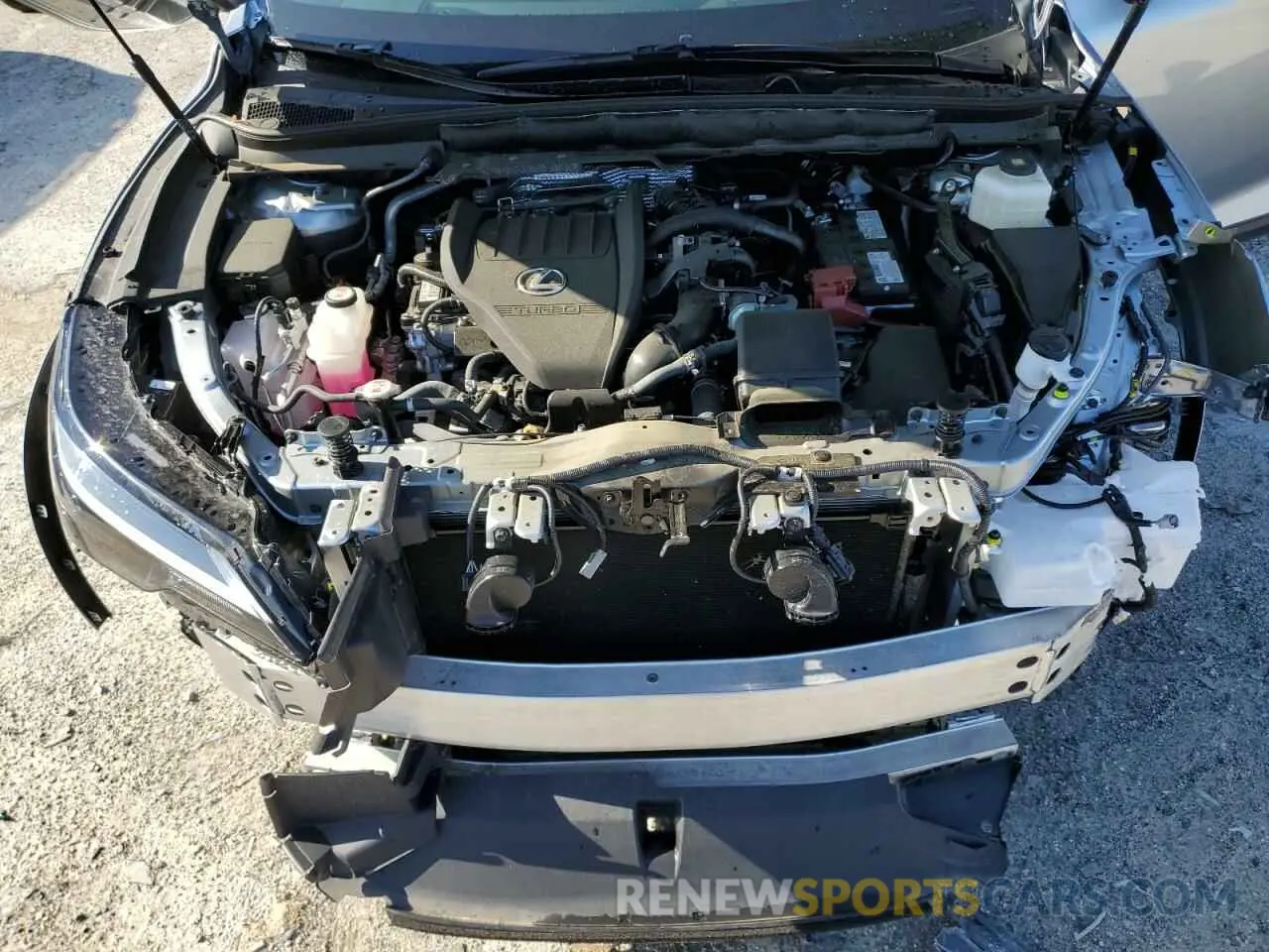 12 Photograph of a damaged car 2T2BAMBA8RC031370 LEXUS RX350 2024