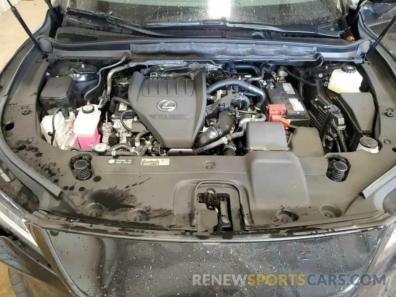 13 Фотография поврежденного автомобиля 2T2BAMCA5RC084462 LEXUS RX350 2024
