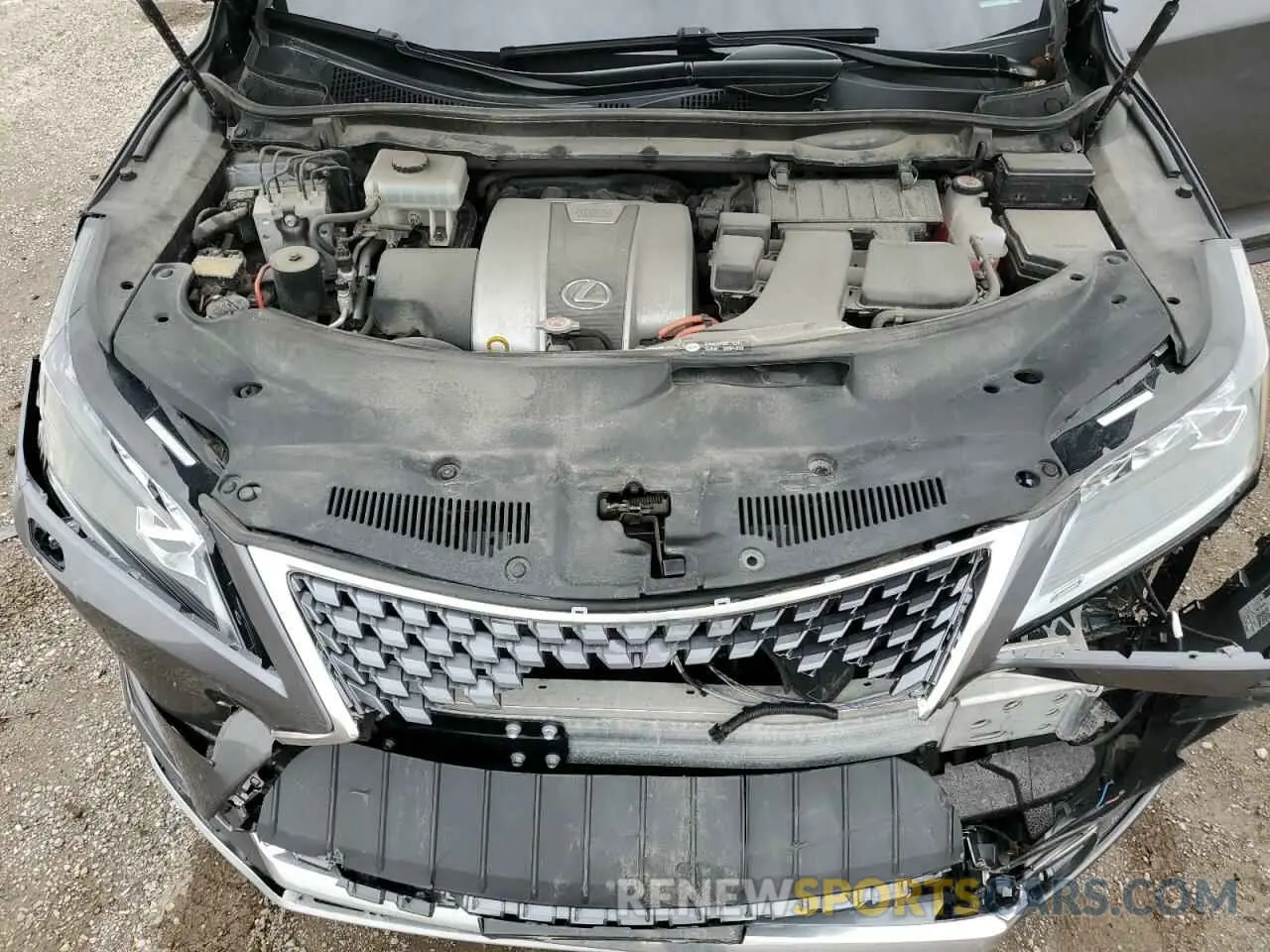 12 Photograph of a damaged car 2T2JGMDA2NC077312 LEXUS RX450 2022