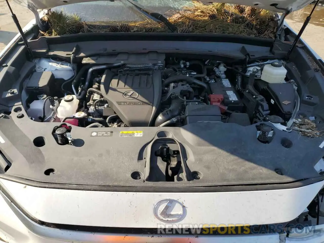 12 Photograph of a damaged car 5TDAAAA65RS007160 LEXUS TX 350 BAS 2024