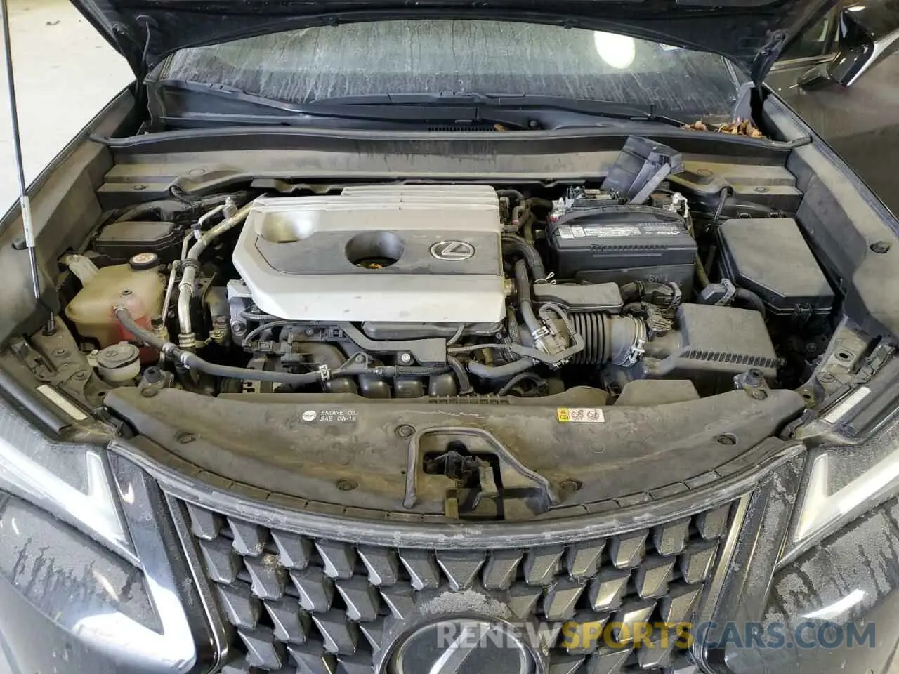 11 Фотография поврежденного автомобиля JTHY3JBH6K2003557 LEXUS UX 200 2019