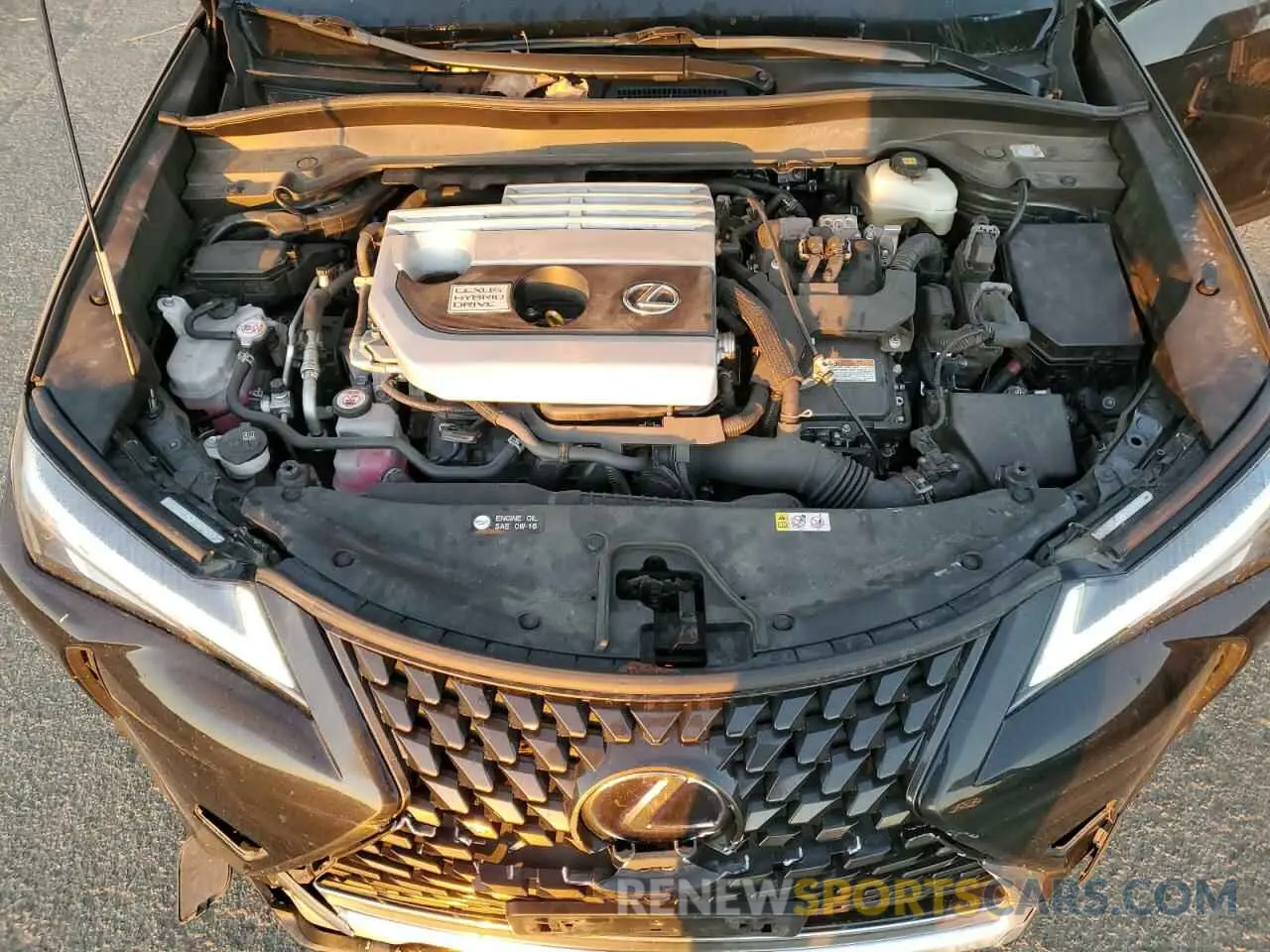 11 Photograph of a damaged car JTHP9JBH7L2026406 LEXUS UX 250H 2020