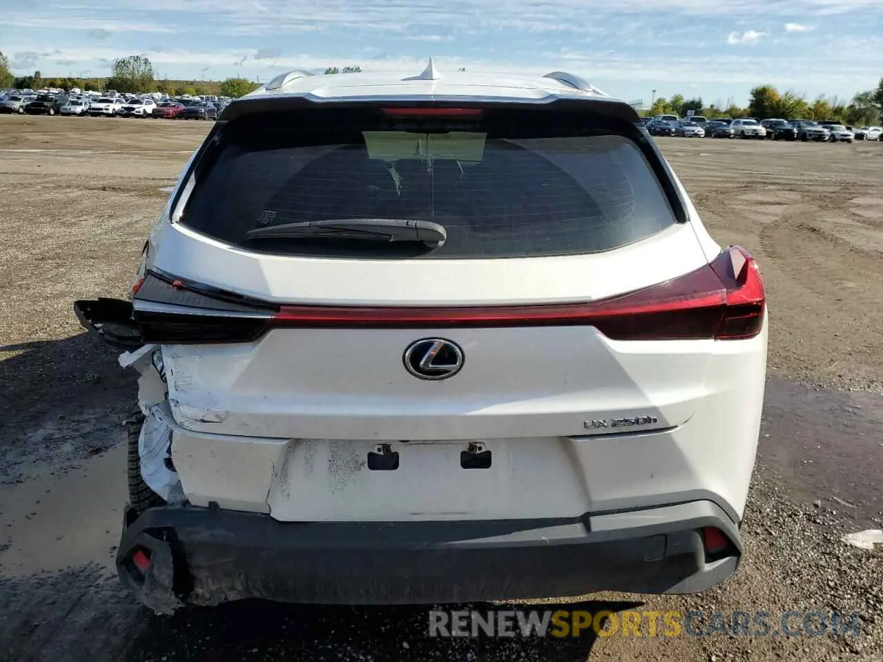 6 Photograph of a damaged car JTHP9JBH1M2045468 LEXUS UX 250H 2021