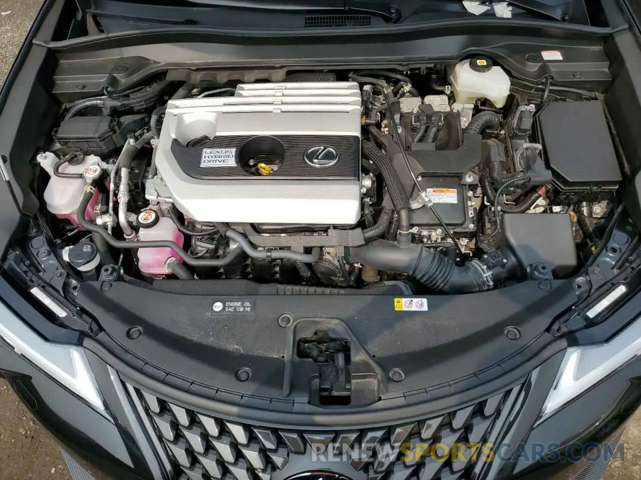 11 Photograph of a damaged car JTHL9JBH4N2060062 LEXUS UX 250H BA 2022