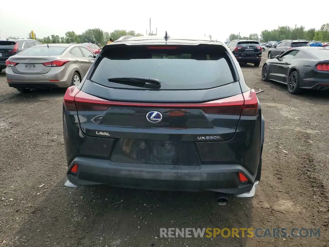 6 Photograph of a damaged car JTHL9JBH4N2060062 LEXUS UX 250H BA 2022