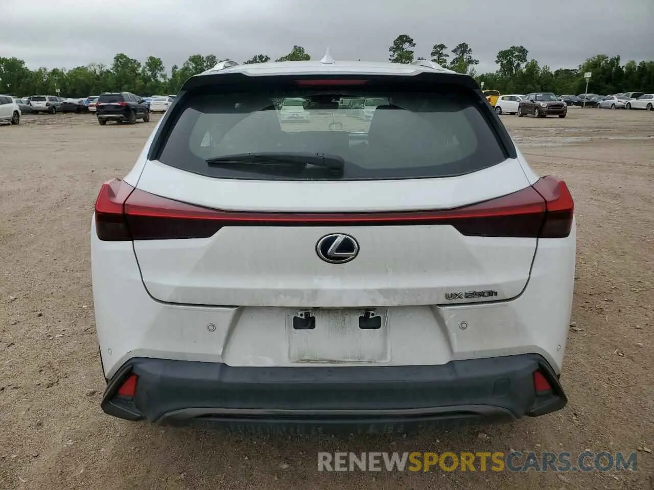 6 Photograph of a damaged car JTHR9JBH2N2059518 LEXUS UX 250H BA 2022
