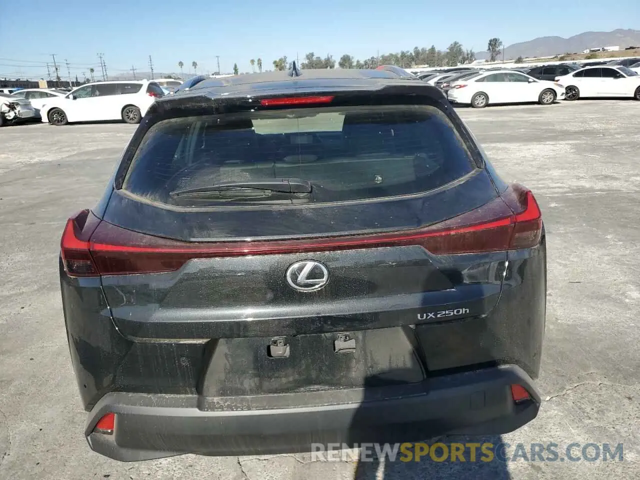 6 Фотография поврежденного автомобиля JTHX6JBH4R2192156 LEXUS UX 250H BA 2024