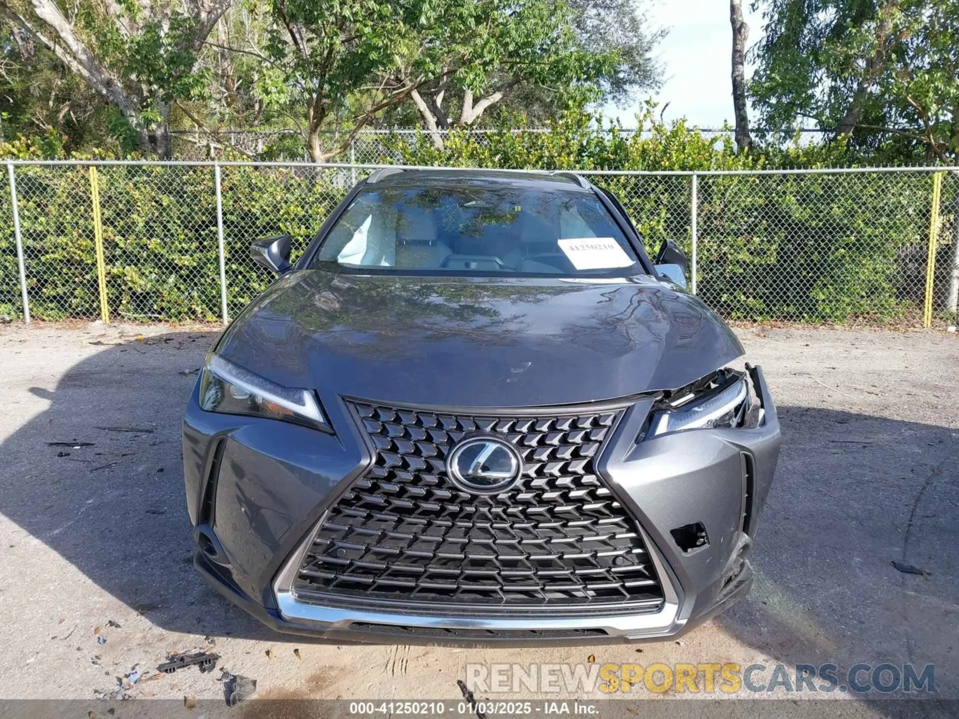 12 Фотография поврежденного автомобиля JTHYBJAH4S2008275 LEXUS UX 300H 2025