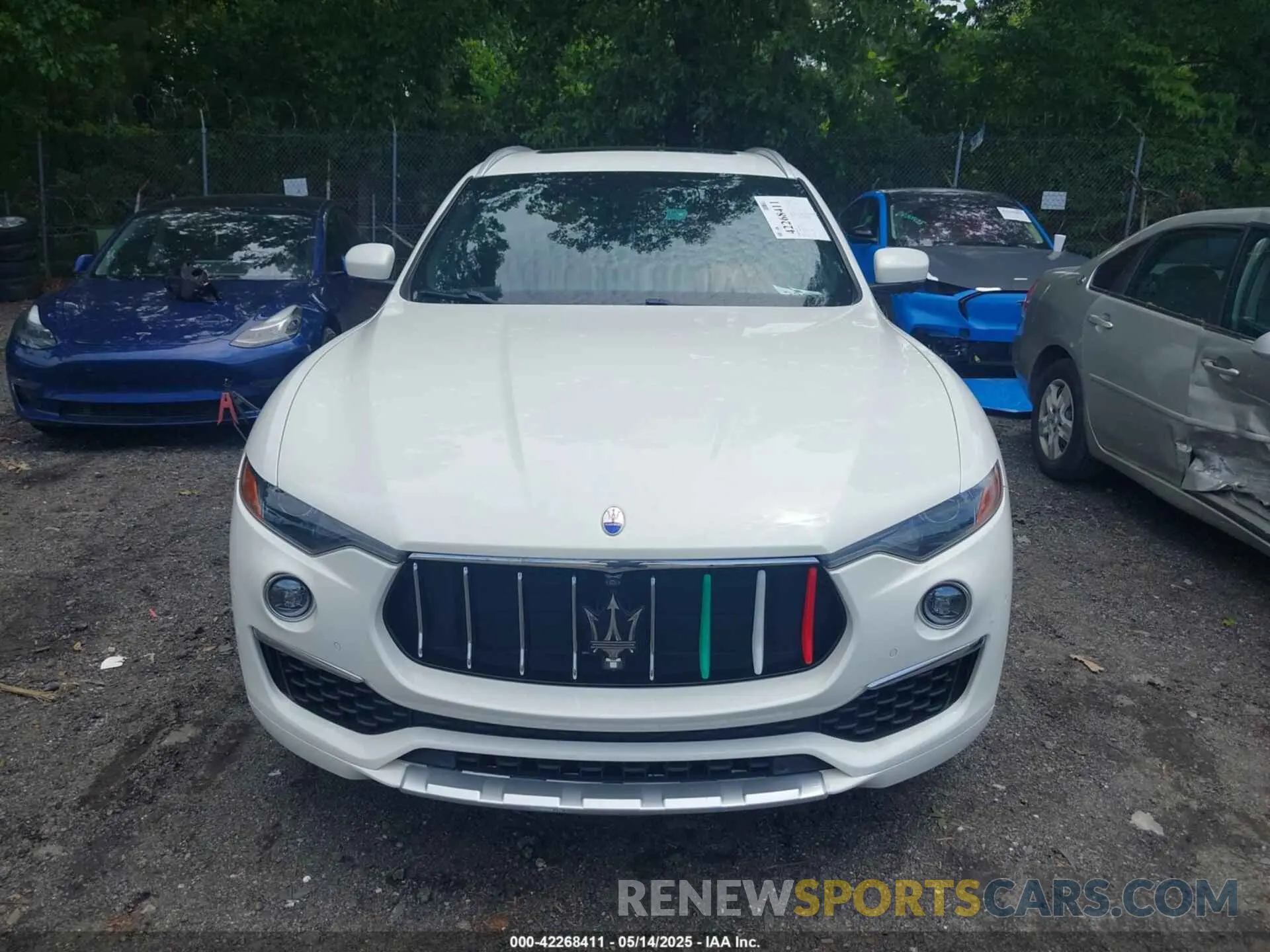 12 Фотография поврежденного автомобиля ZN661XUL5KX309301 MASERATI LEVANTE 2019