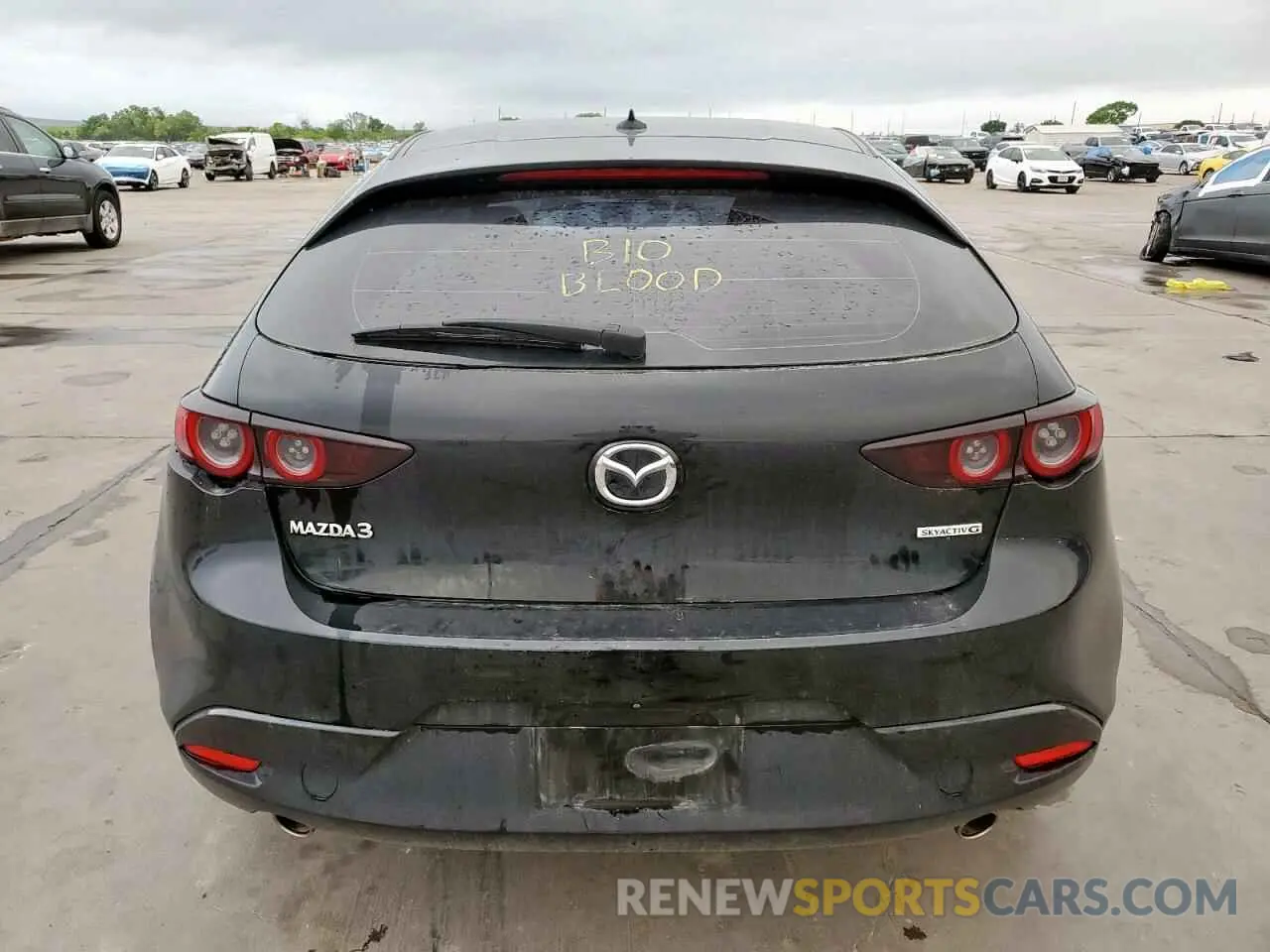 6 Photograph of a damaged car JM1BPANM0K1143842 MAZDA 3 2019