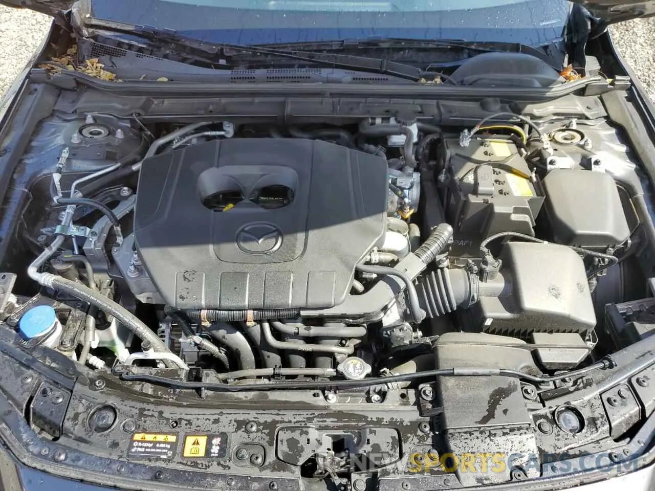 11 Фотография поврежденного автомобиля JM1BPACM6S1762013 MAZDA 3 2025