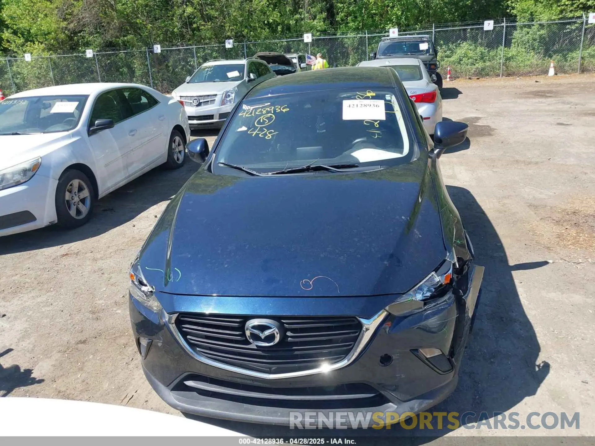13 Фотография поврежденного автомобиля JM1DKFB70K1451421 MAZDA CX-3 2019