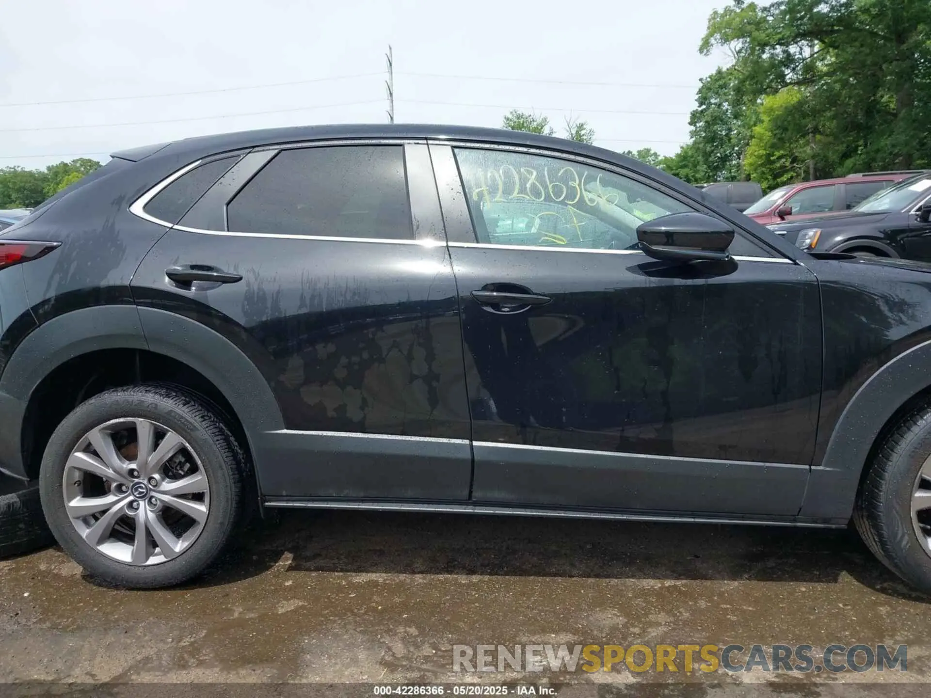13 Photograph of a damaged car 3MVDMBBL3MM313375 MAZDA CX-30 2021