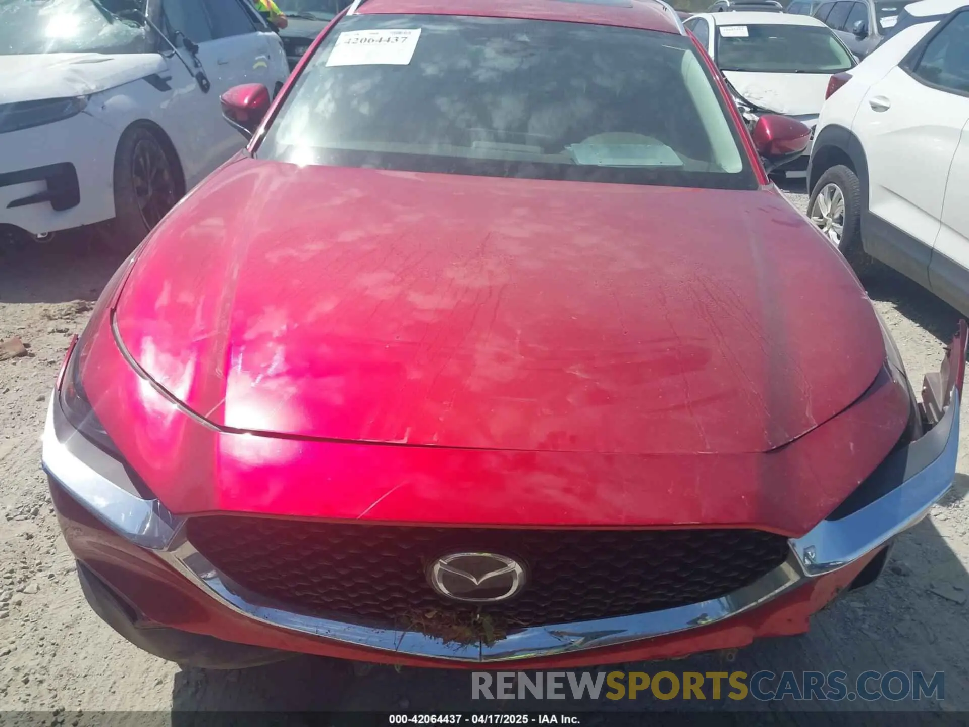 12 Photograph of a damaged car 3MVDMBDL4MM309428 MAZDA CX-30 2021