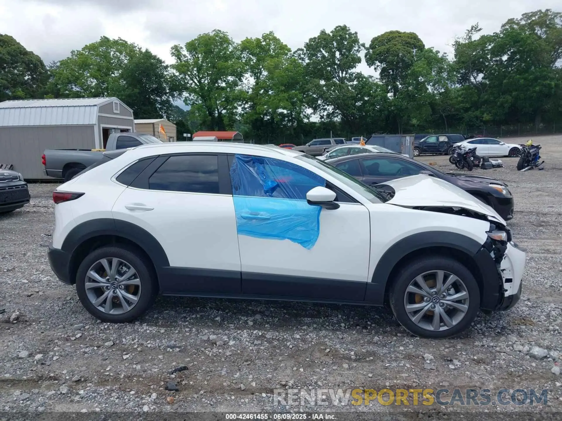 12 Photograph of a damaged car 3MVDMBBL5NM446978 MAZDA CX-30 2022