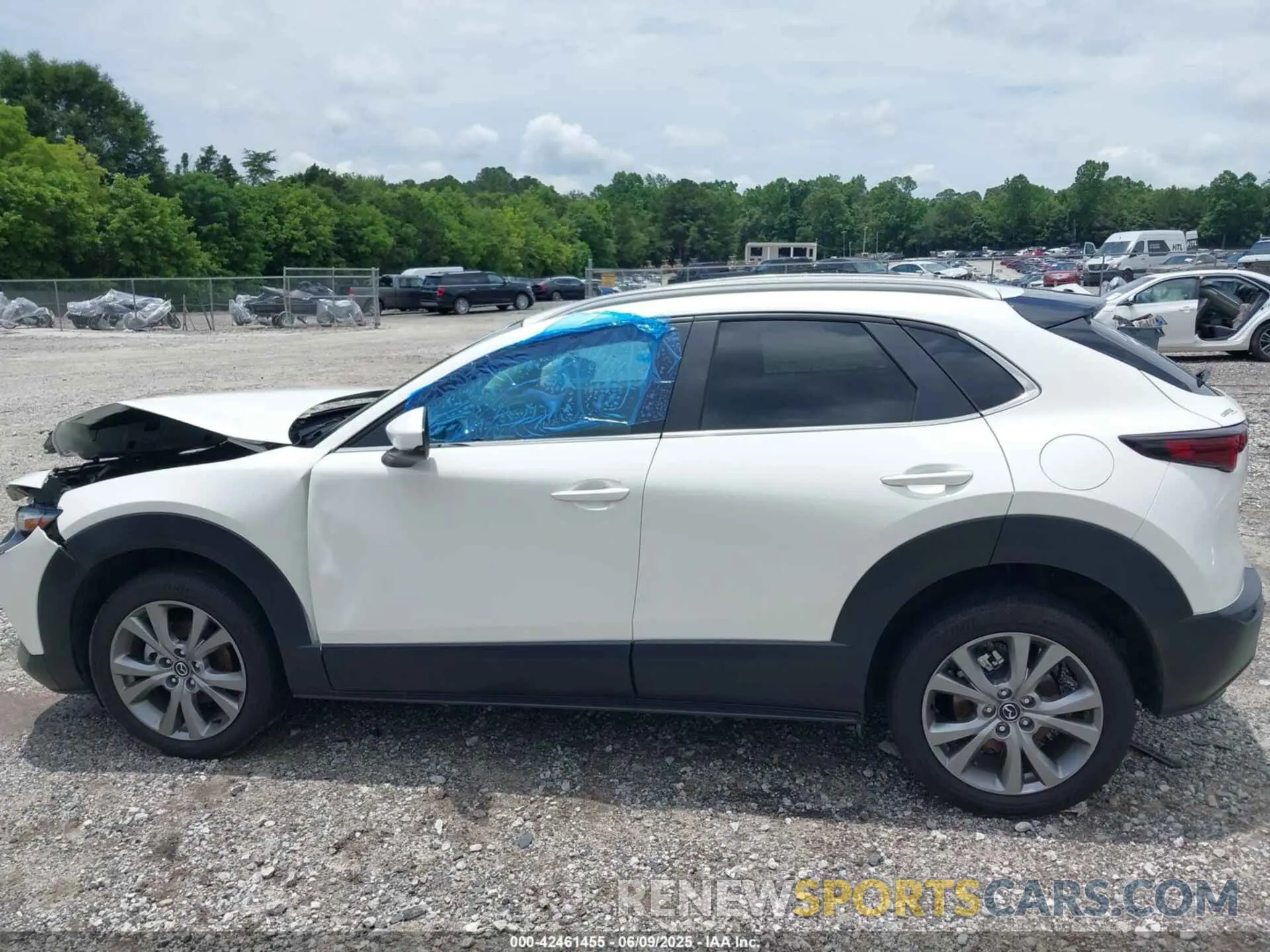 13 Photograph of a damaged car 3MVDMBBL5NM446978 MAZDA CX-30 2022