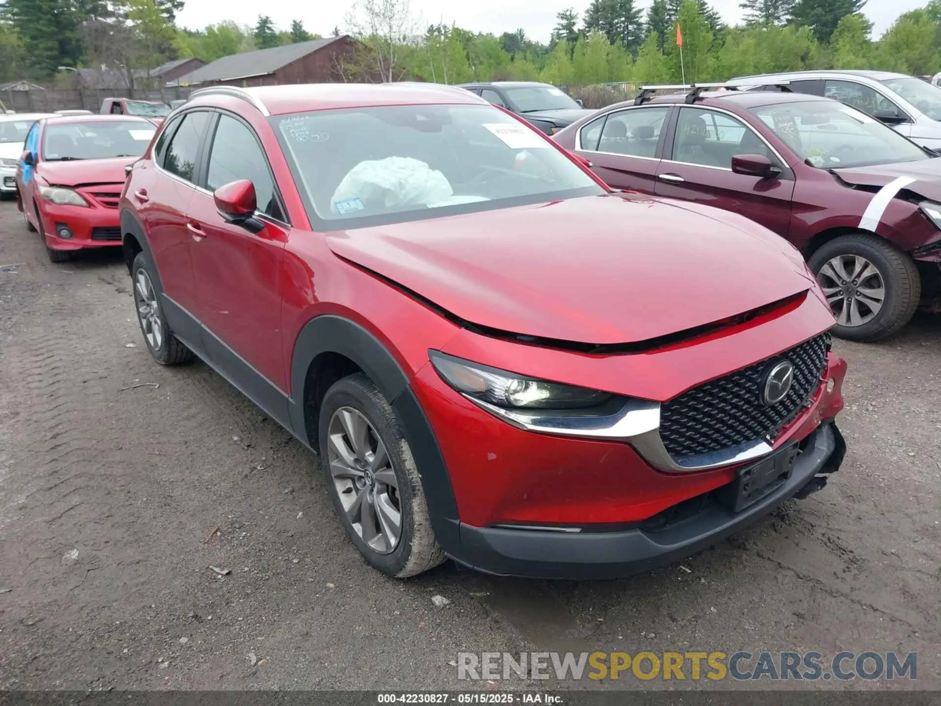 13 Photograph of a damaged car 3MVDMBBL8NM408371 MAZDA CX-30 2022