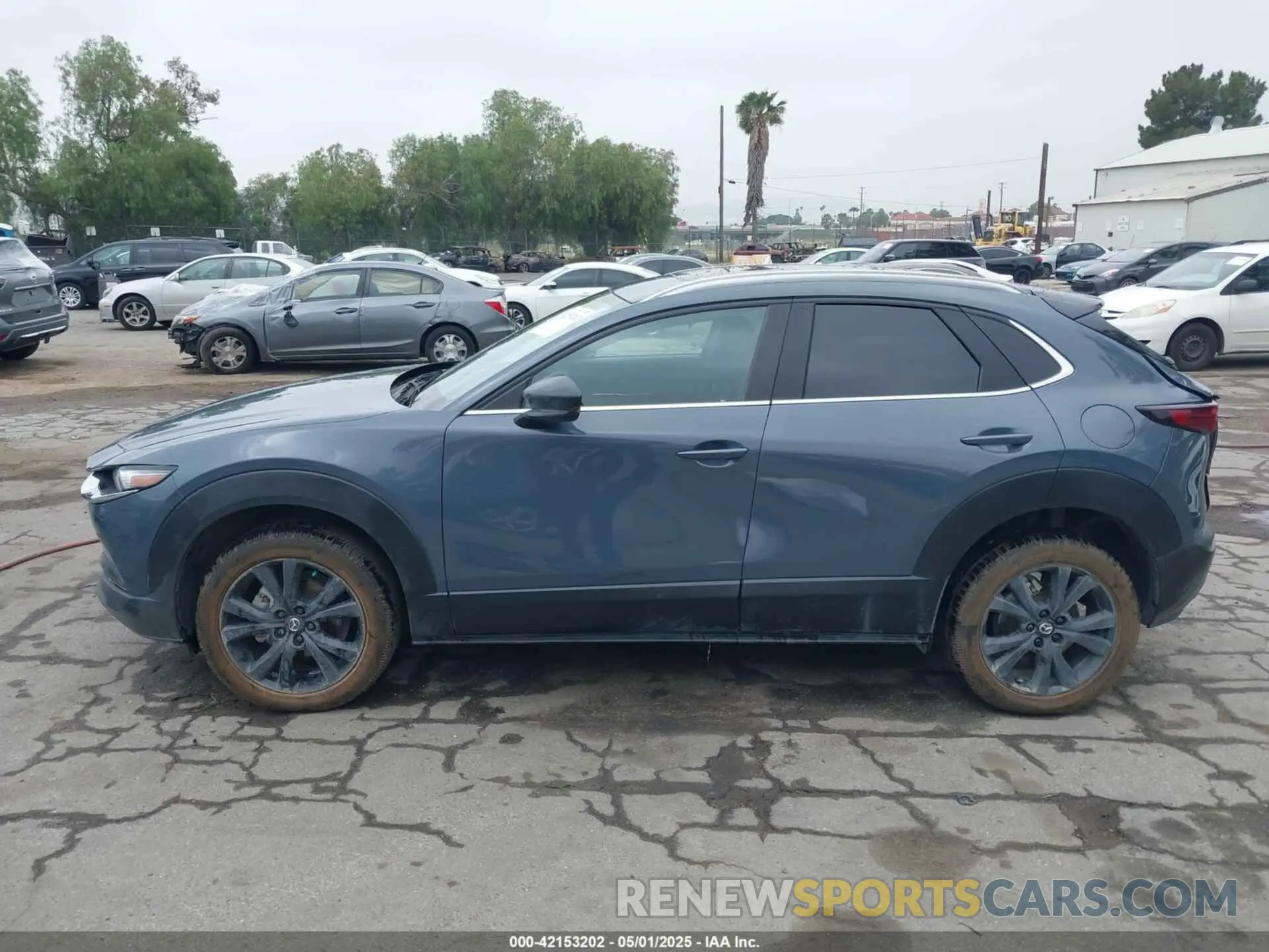 14 Фотография поврежденного автомобиля 3MVDMBCL0NM456154 MAZDA CX-30 2022