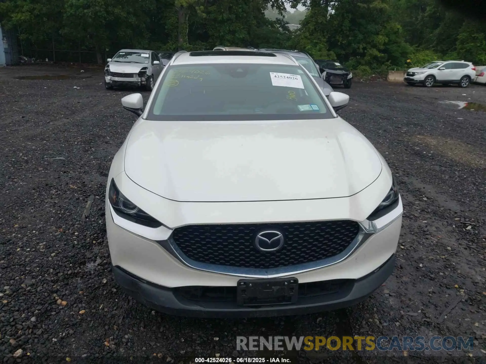 12 Photograph of a damaged car 3MVDMBDL3NM423566 MAZDA CX-30 2022