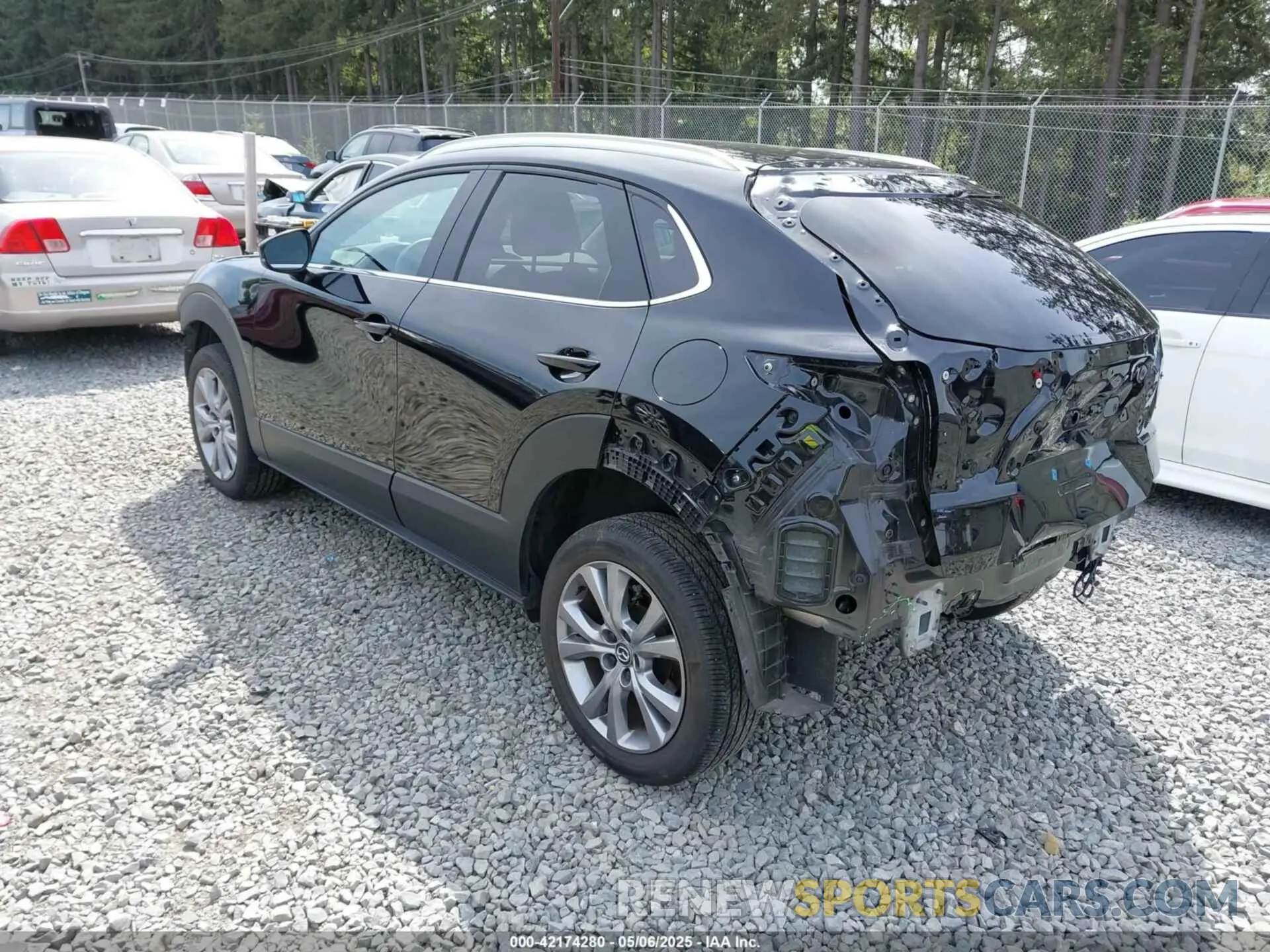 3 Photograph of a damaged car 3MVDMBCM3PM562447 MAZDA CX-30 2023