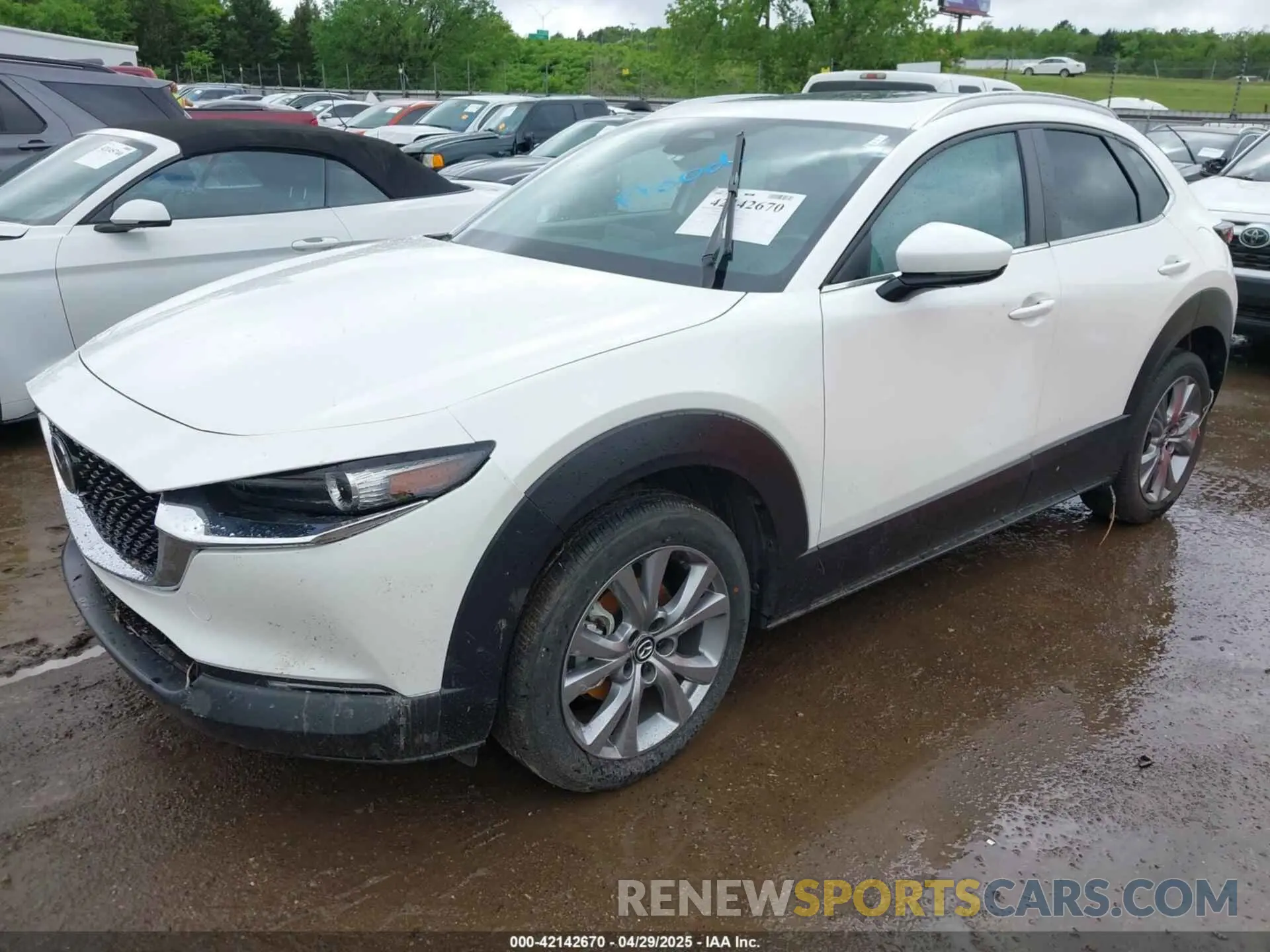 2 Фотография поврежденного автомобиля 3MVDMBCM2RM617697 MAZDA CX-30 2024