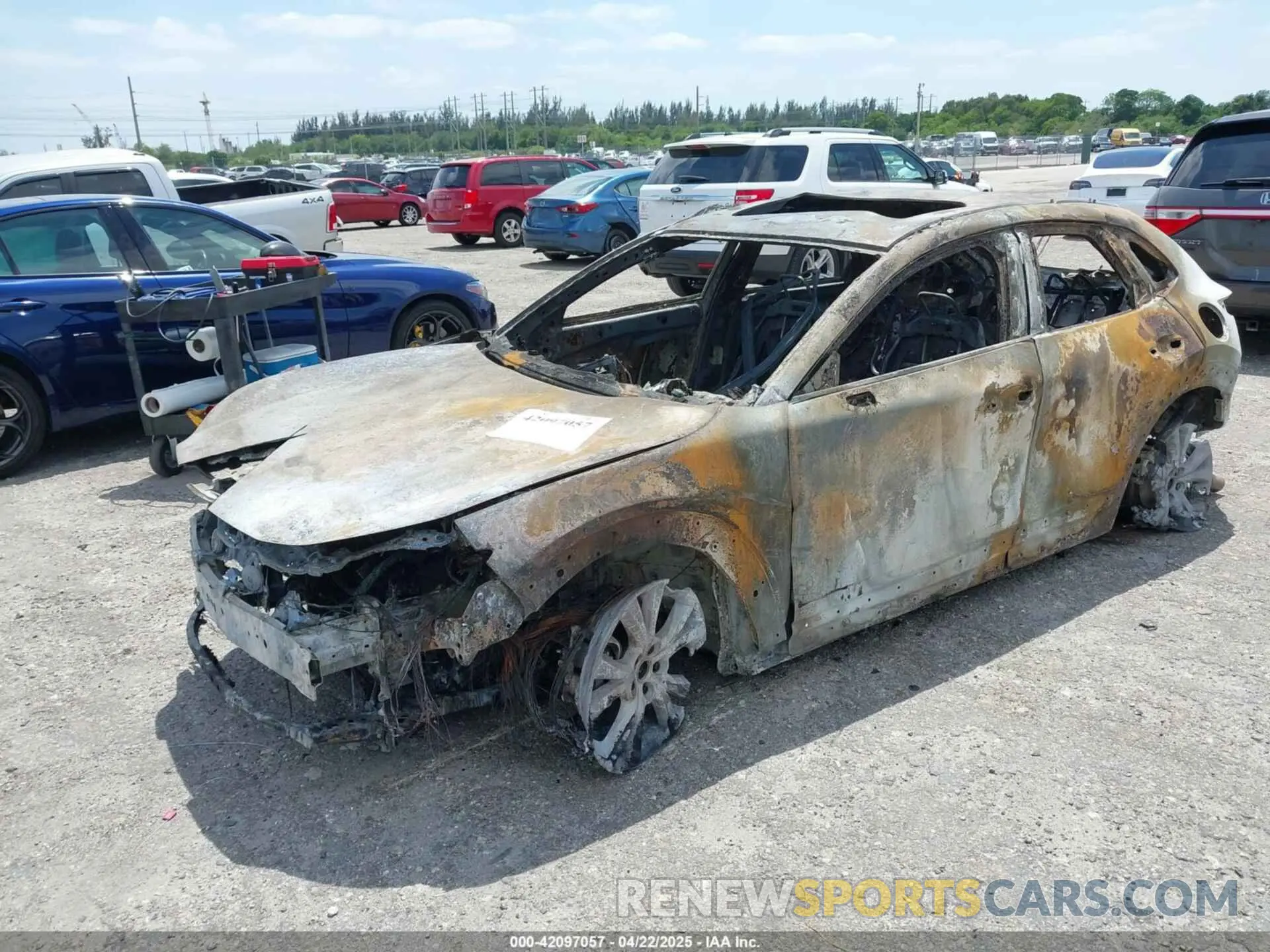 2 Фотография поврежденного автомобиля 3MVDMBCM8SM762586 MAZDA CX-30 2025