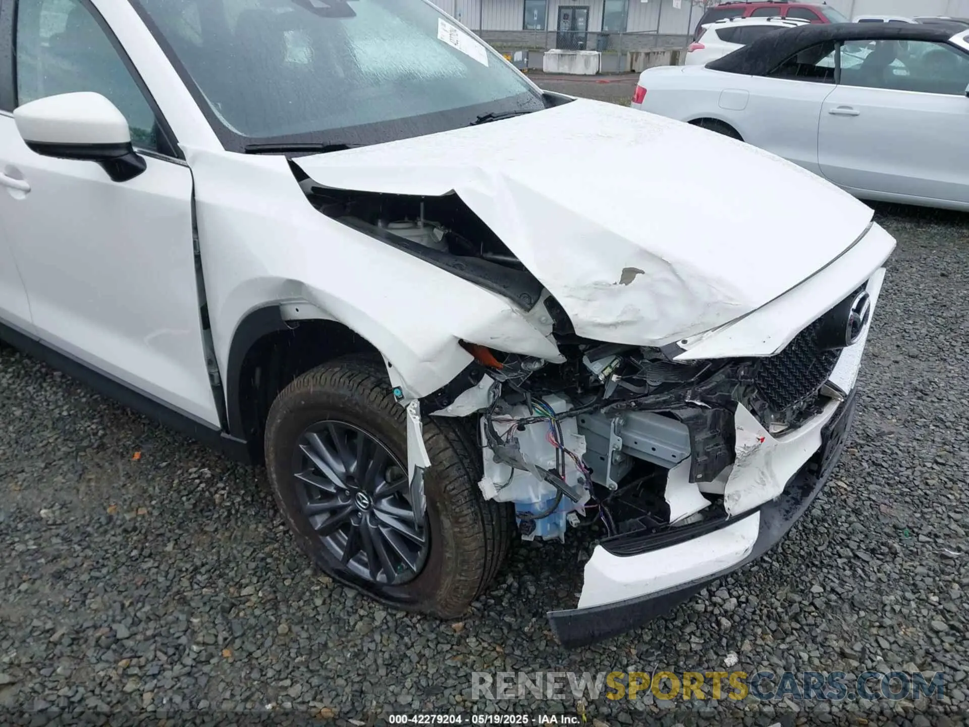 6 Фотография поврежденного автомобиля JM3KFBBM4K0674469 MAZDA CX-5 2019