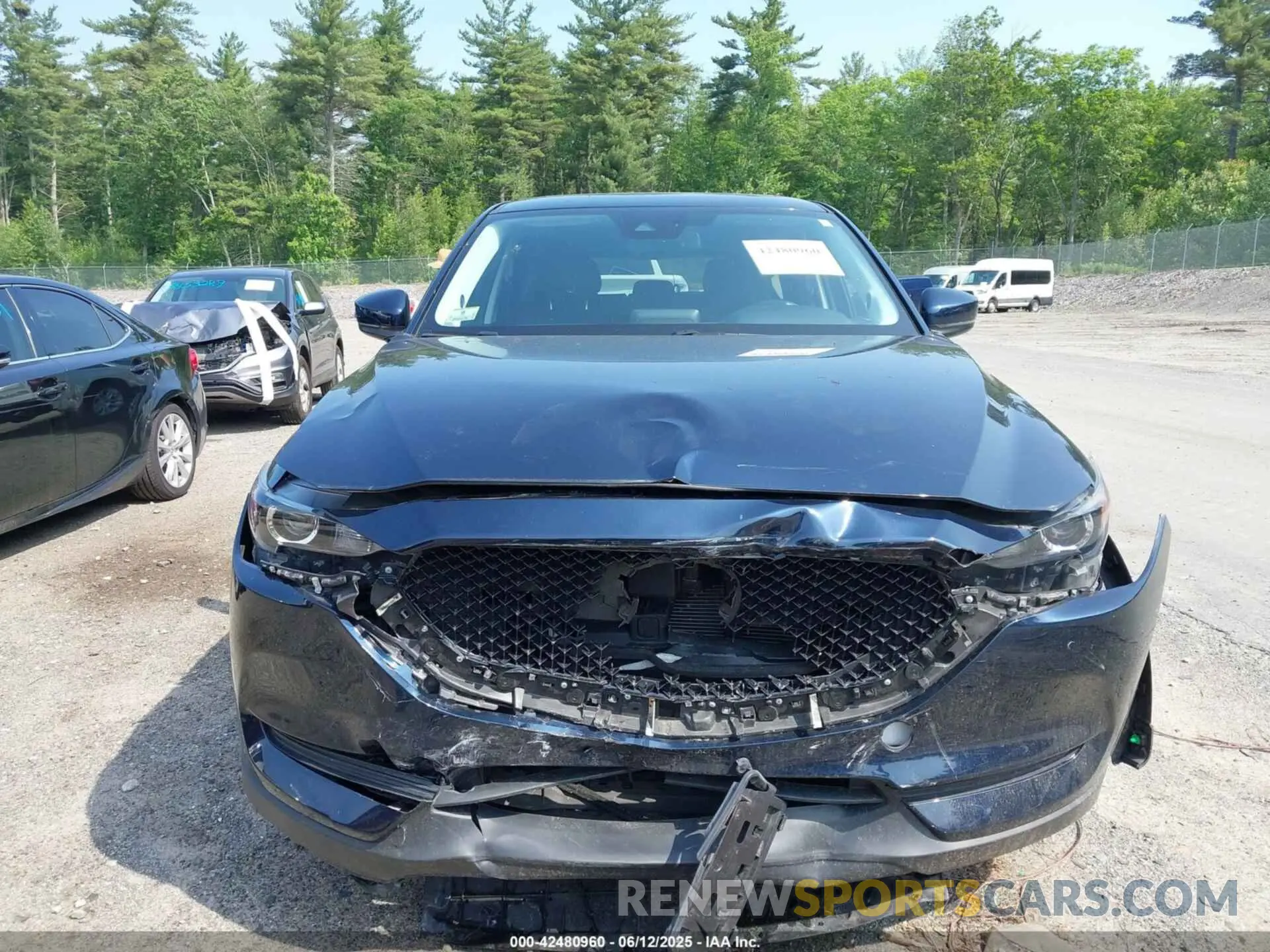 12 Фотография поврежденного автомобиля JM3KFBCM1K1662353 MAZDA CX-5 2019