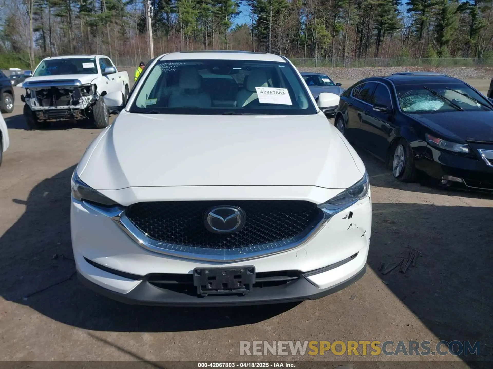 12 Photograph of a damaged car JM3KFBDM2K1506028 MAZDA CX-5 2019
